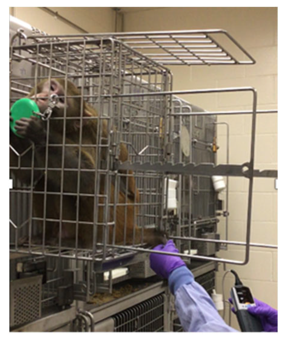 Vetsci 11 00460 g005