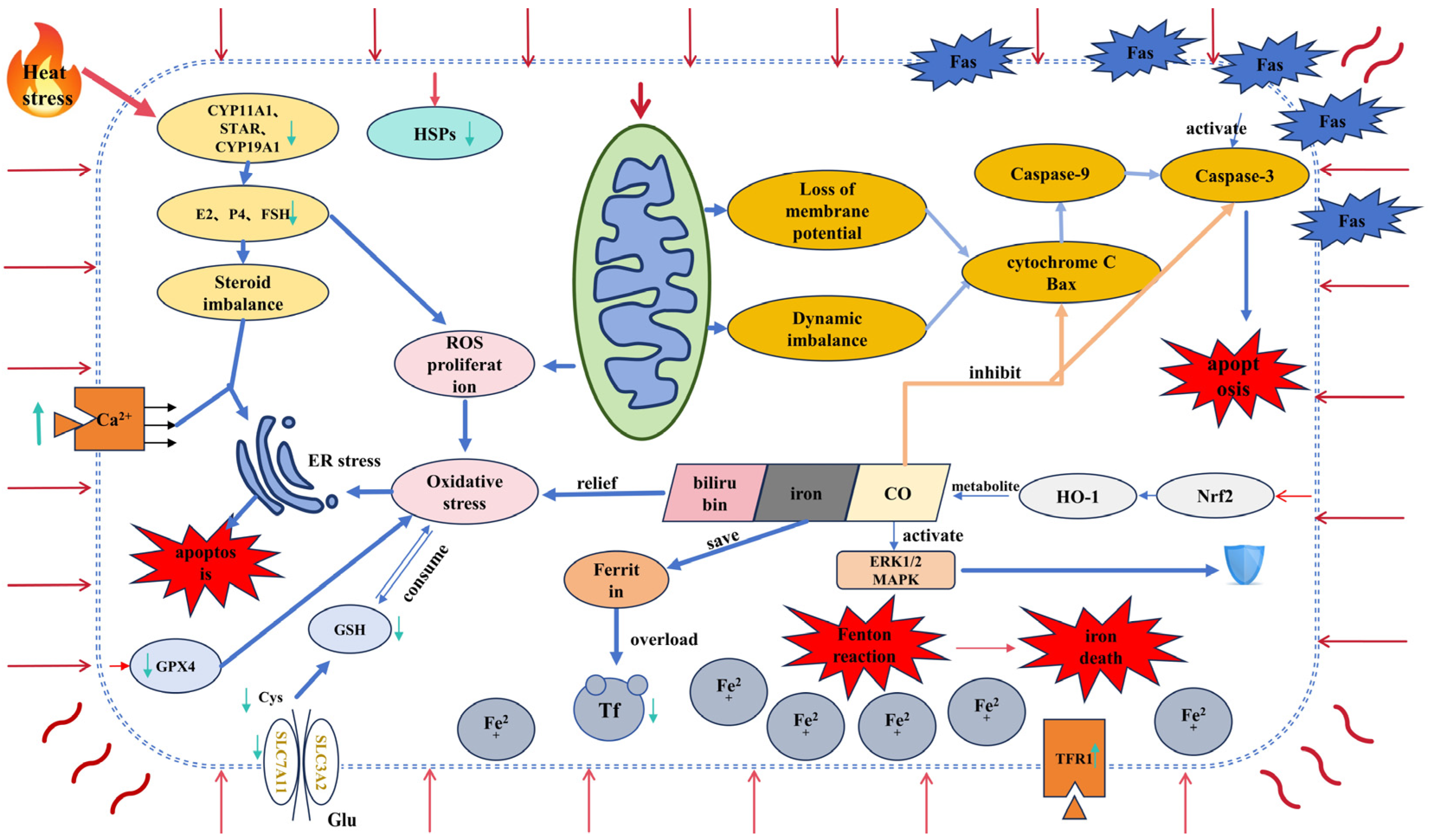 Vetsci 11 00464 g001