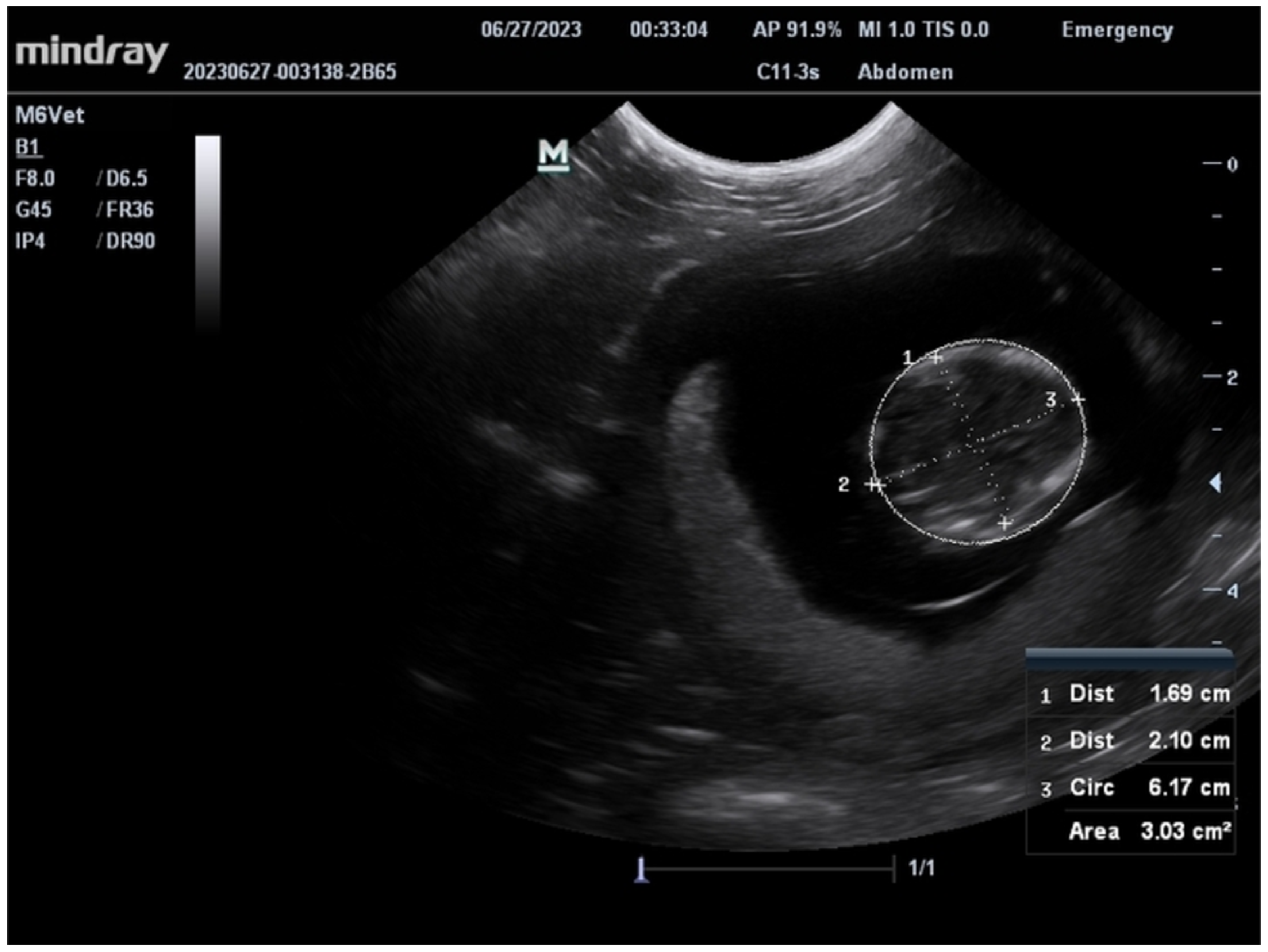 Vetsci 11 00465 g003