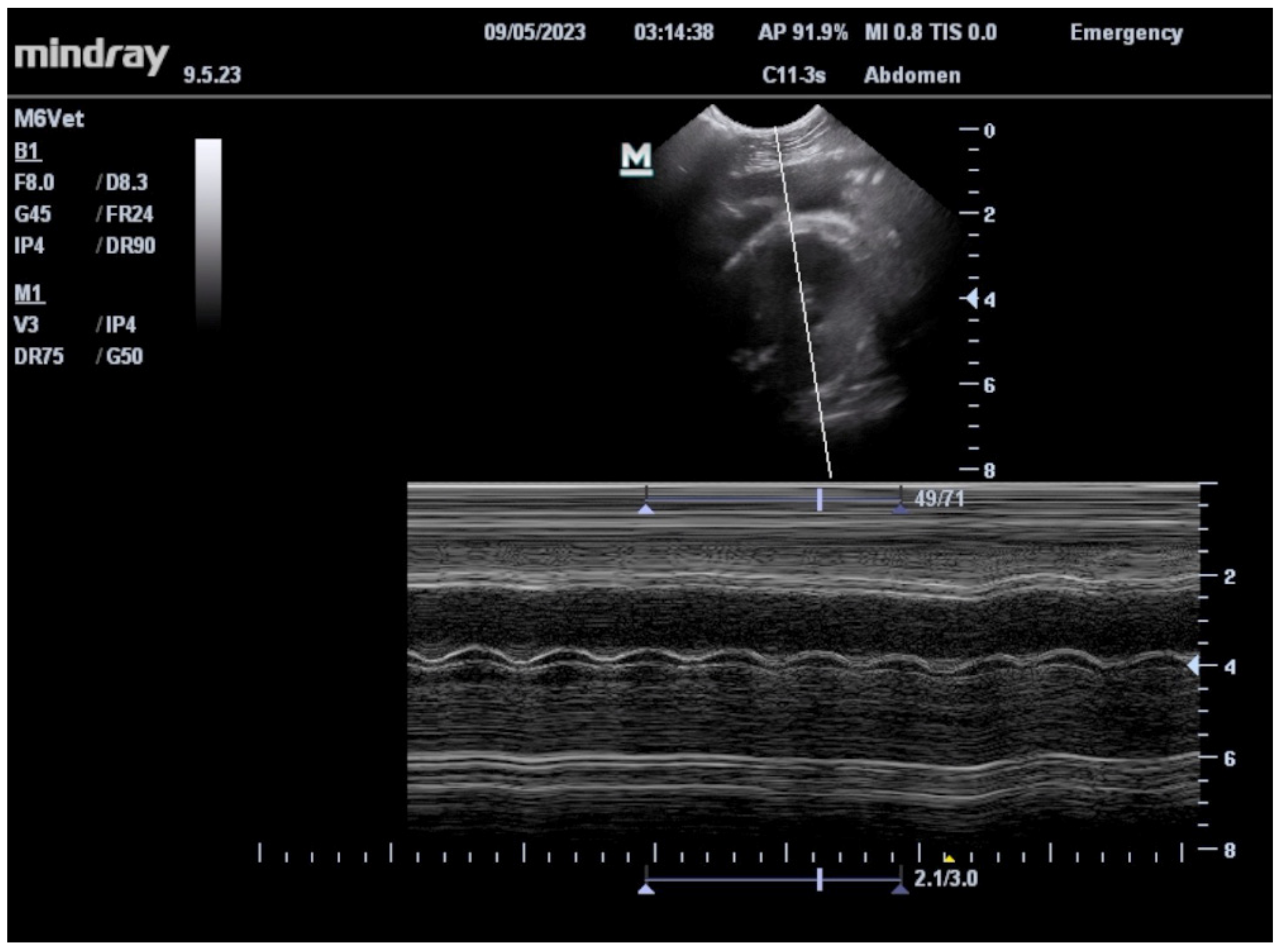 Vetsci 11 00465 g004