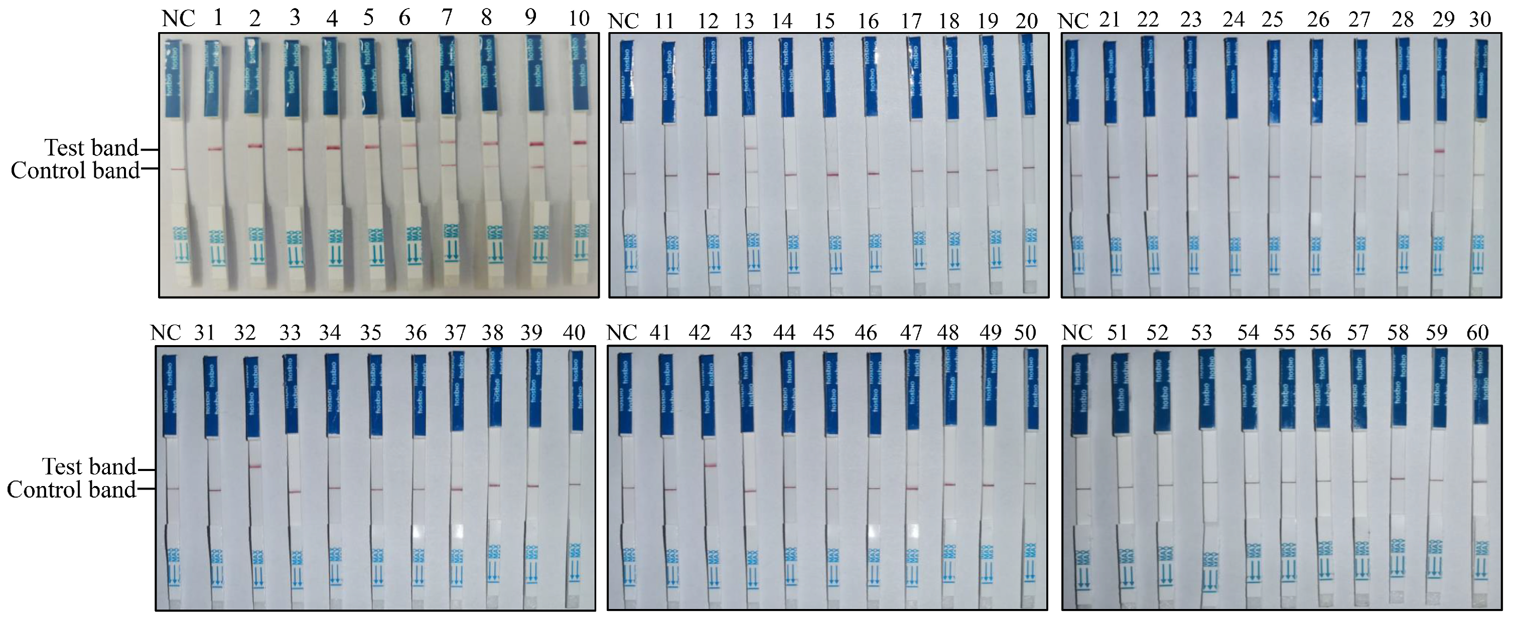 Vetsci 11 00473 g004