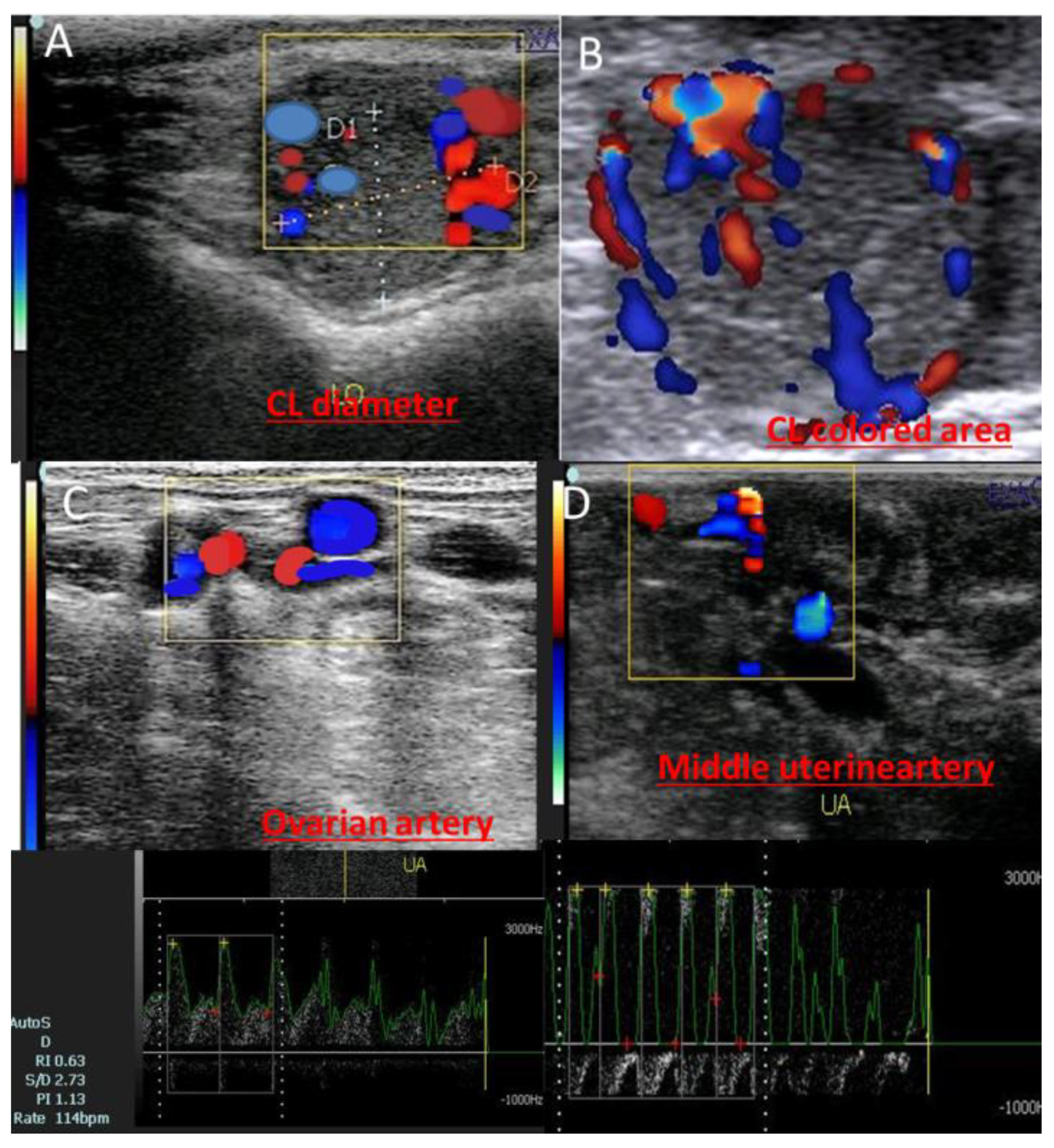 Vetsci 11 00479 g001