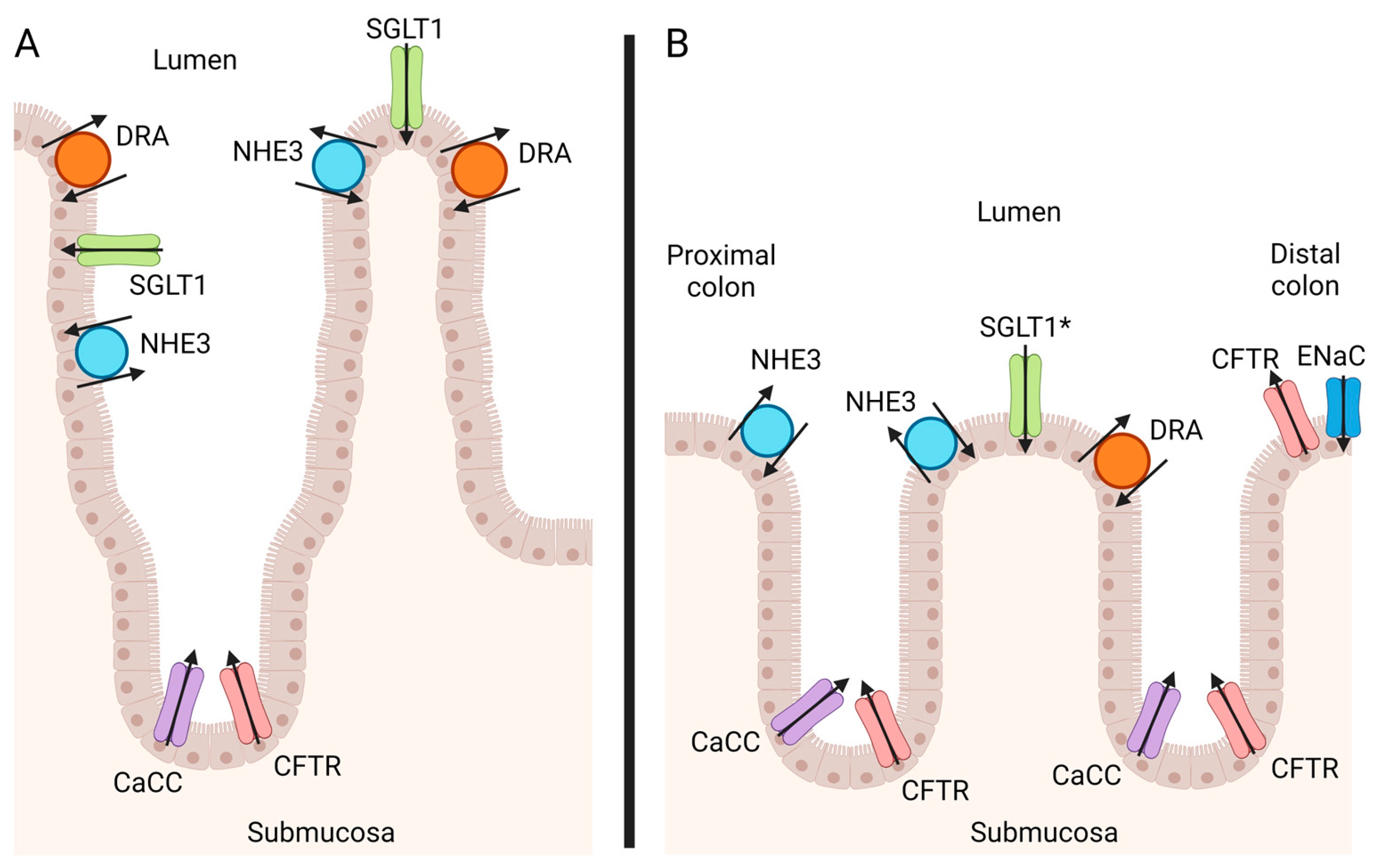 Vetsci 11 00480 g001