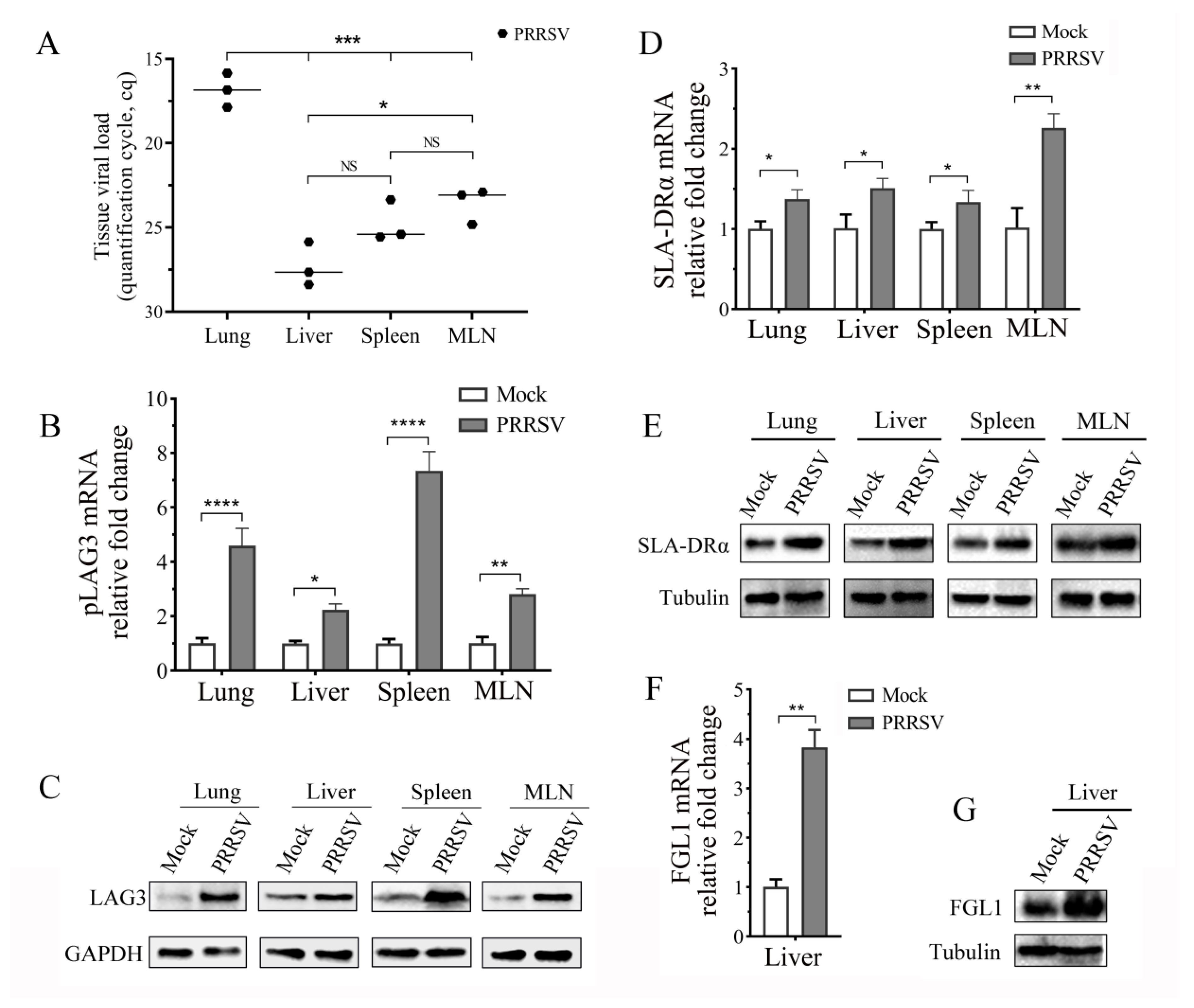 Vetsci 11 00483 g004