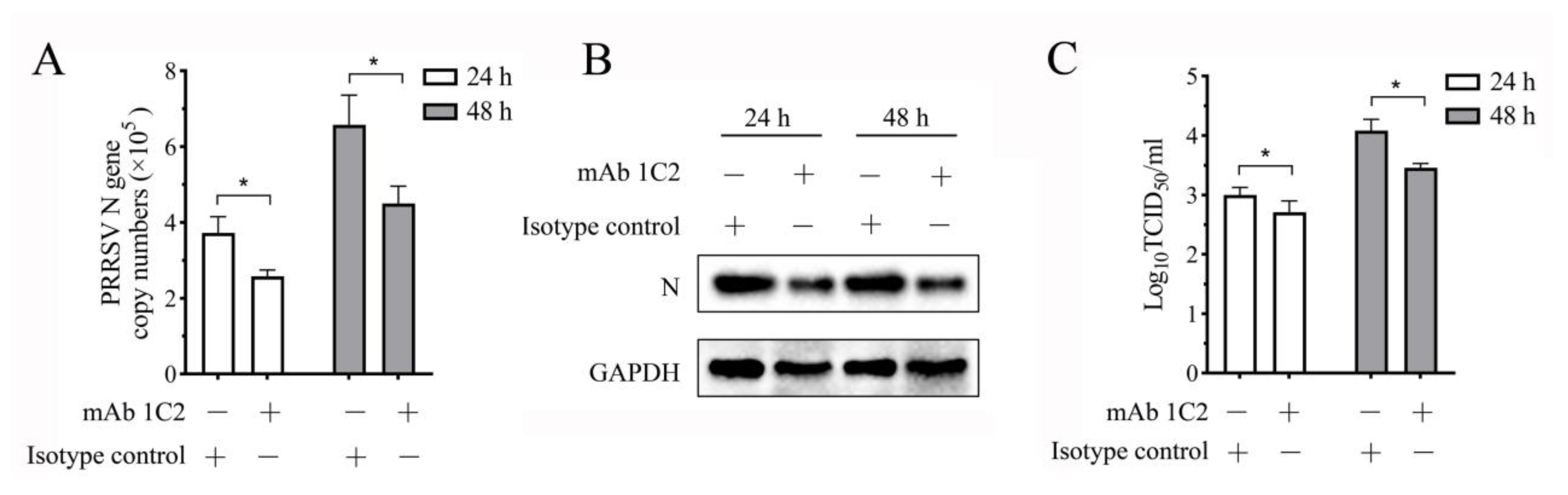 Vetsci 11 00483 g008