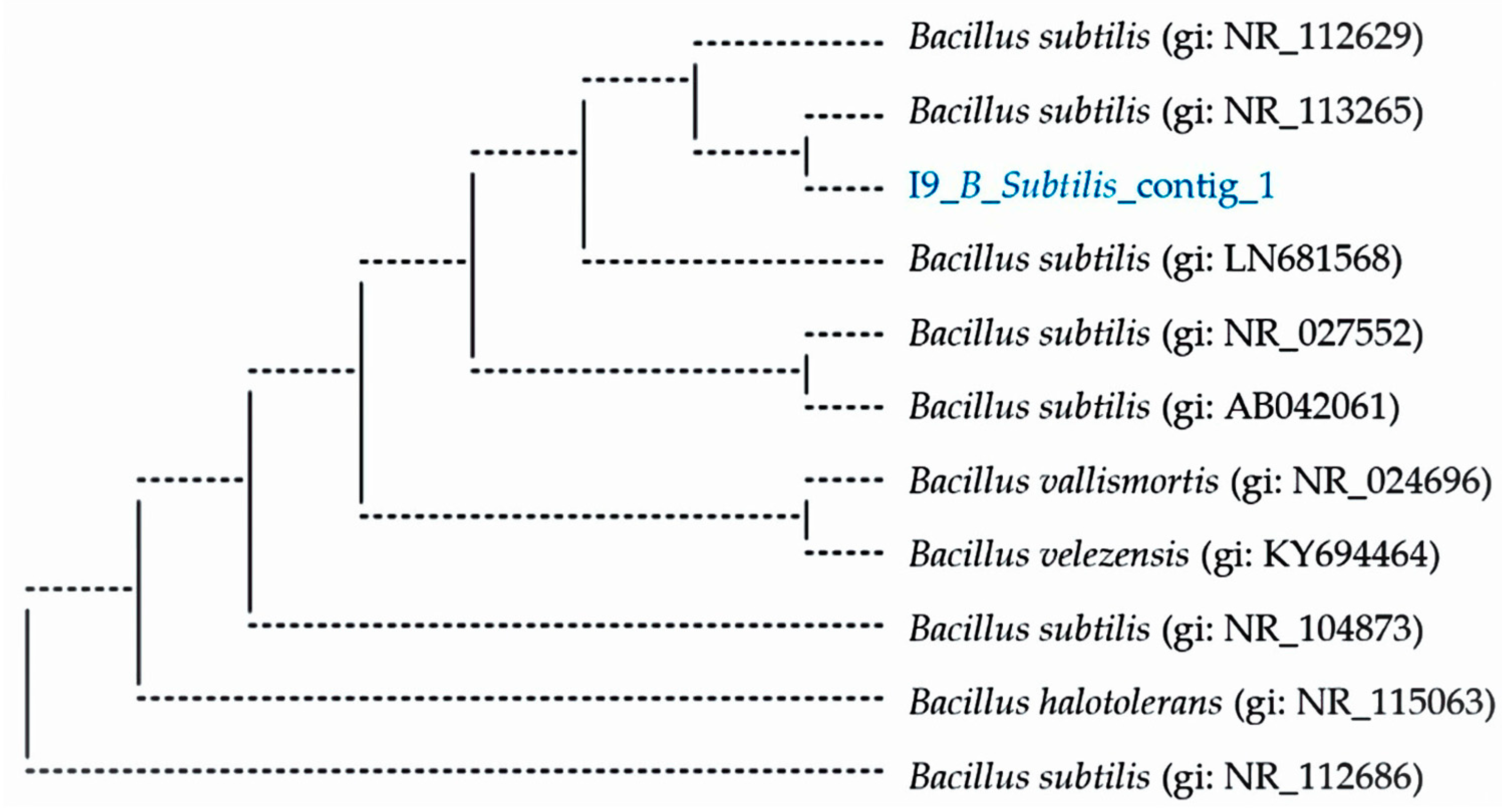 Vetsci 11 00484 g001