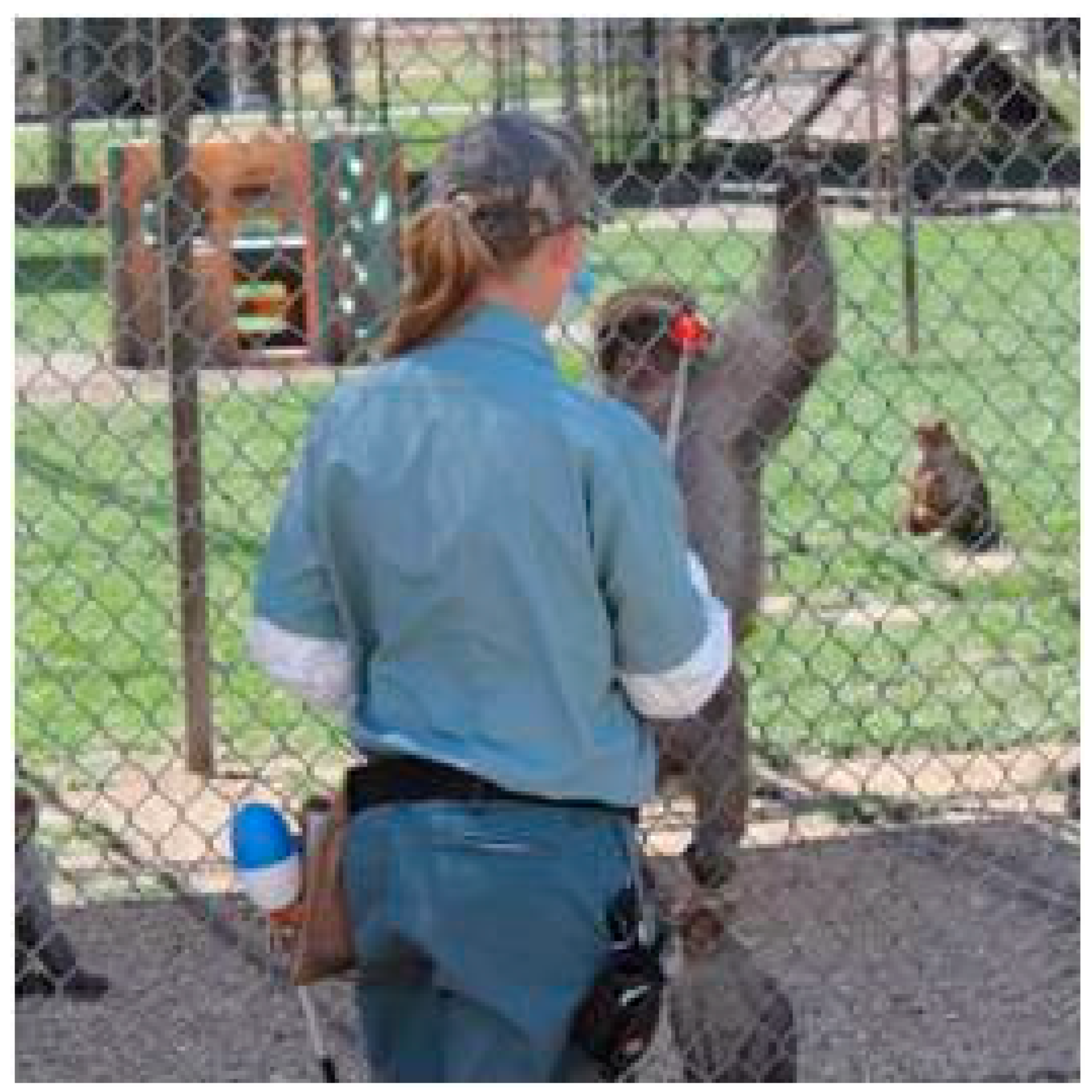 Vetsci 11 00486 g005 Vetsci 11 00486 g005