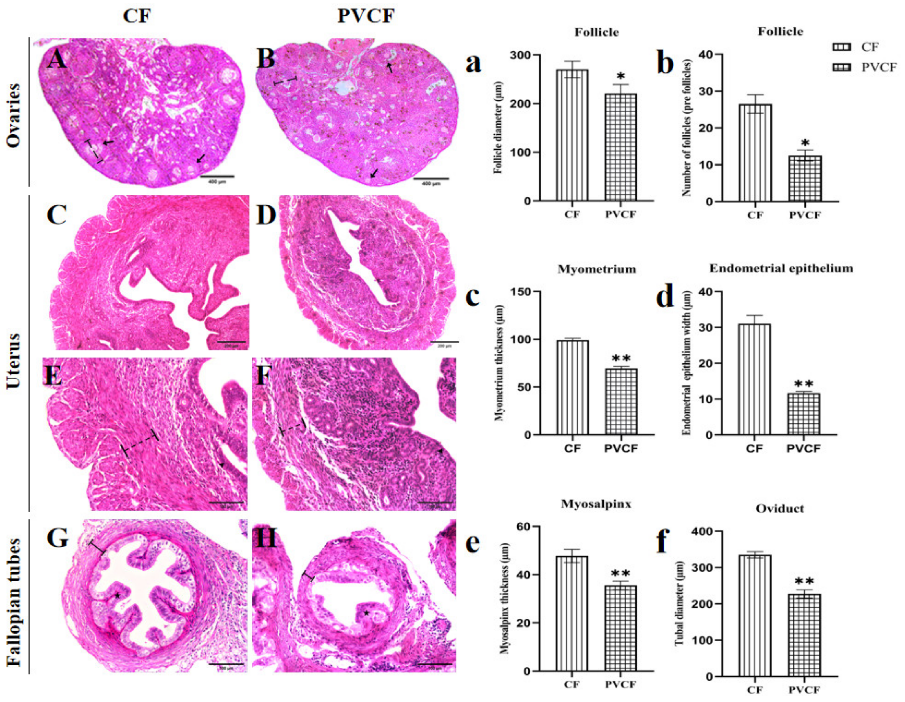 Vetsci 11 00488 g002