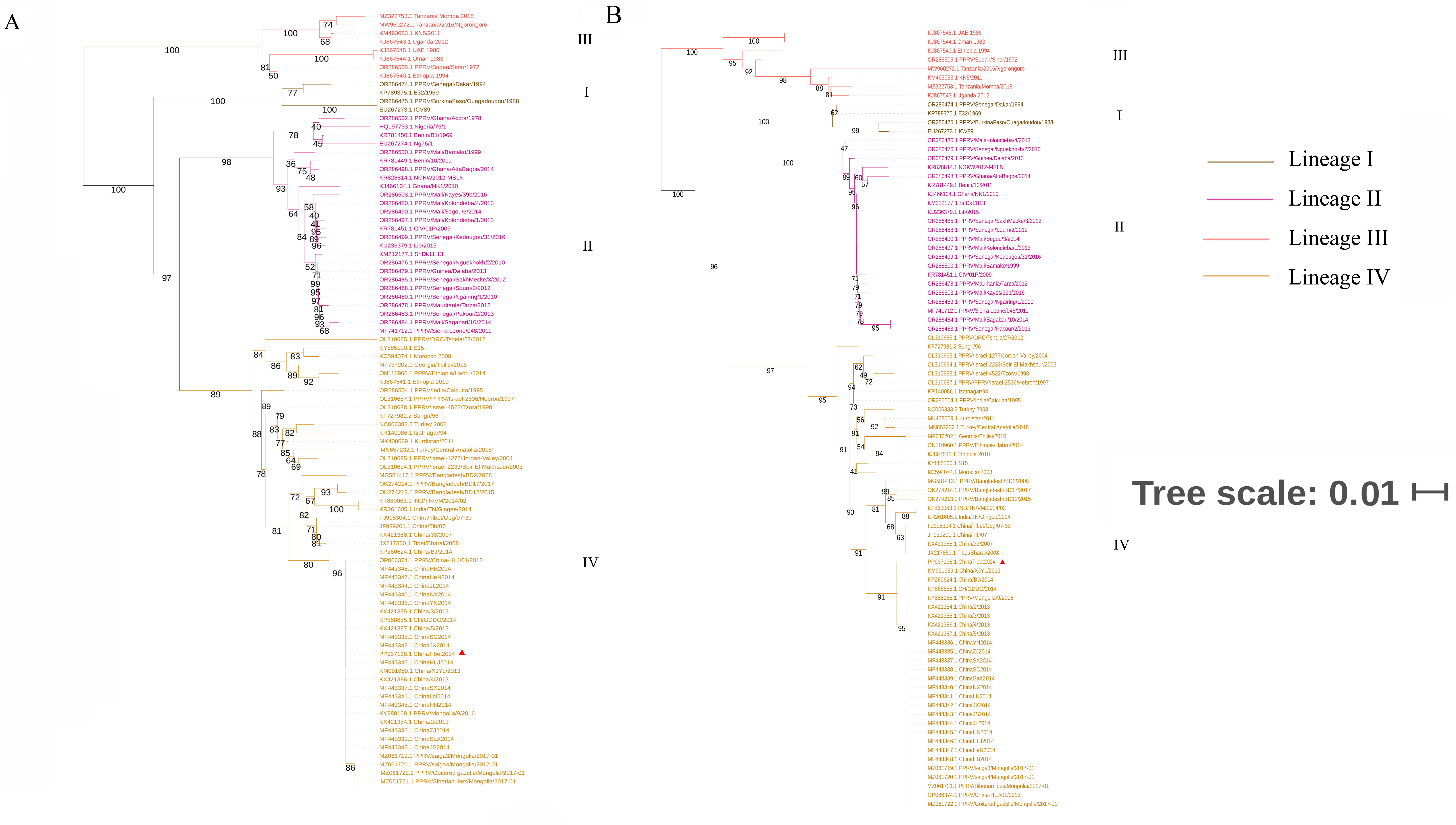 Vetsci 11 00489 g002