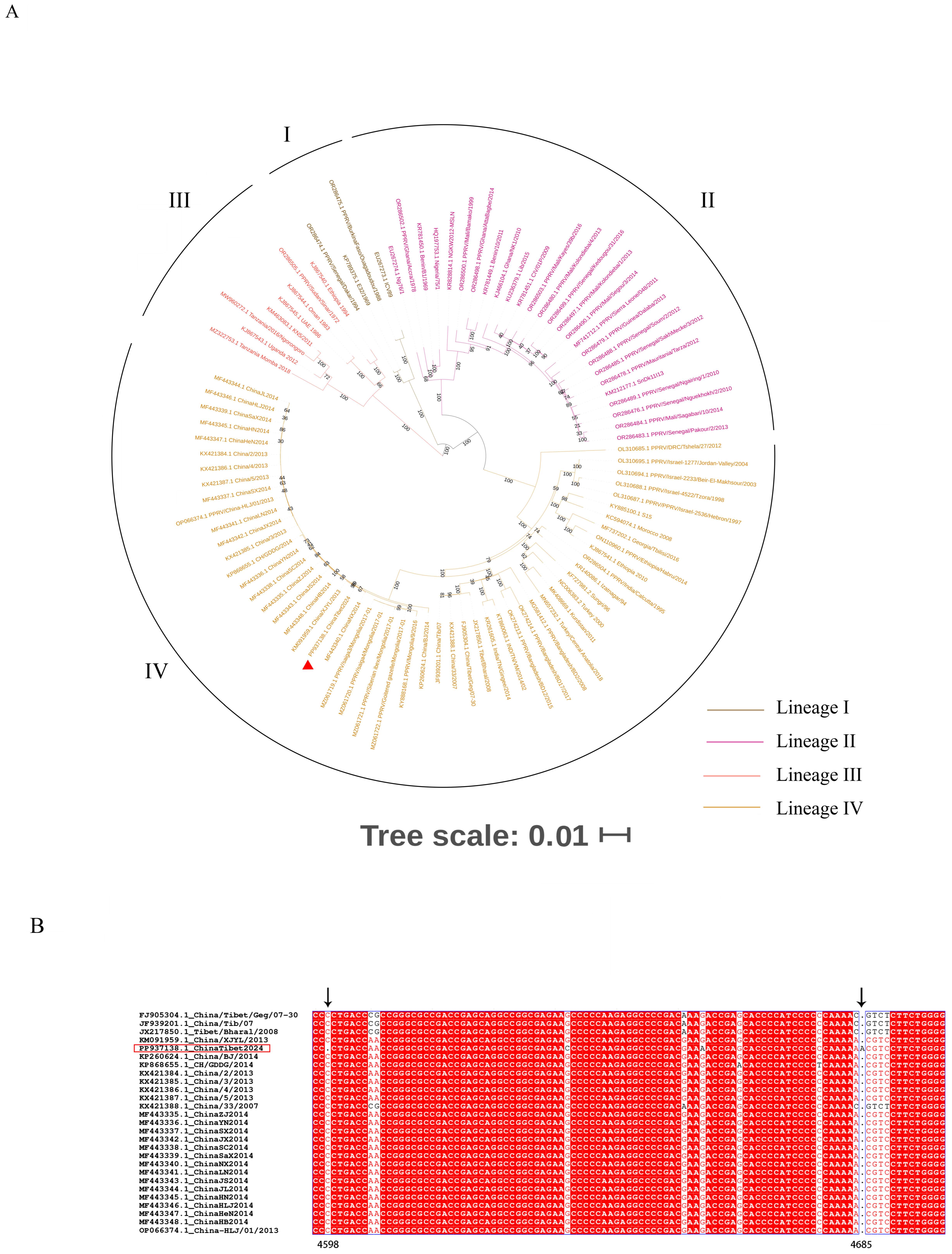 Vetsci 11 00489 g003