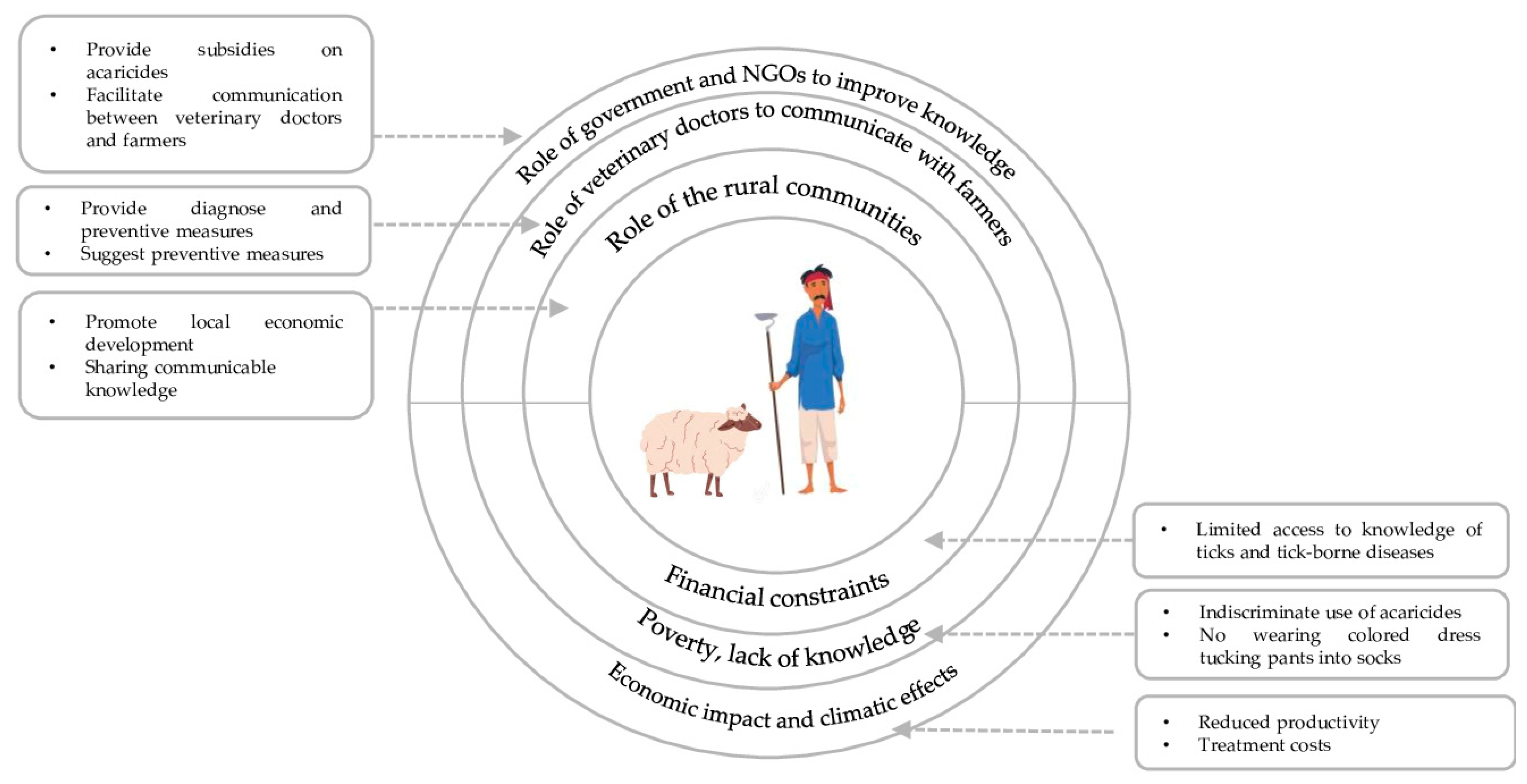 Vetsci 11 00497 g007