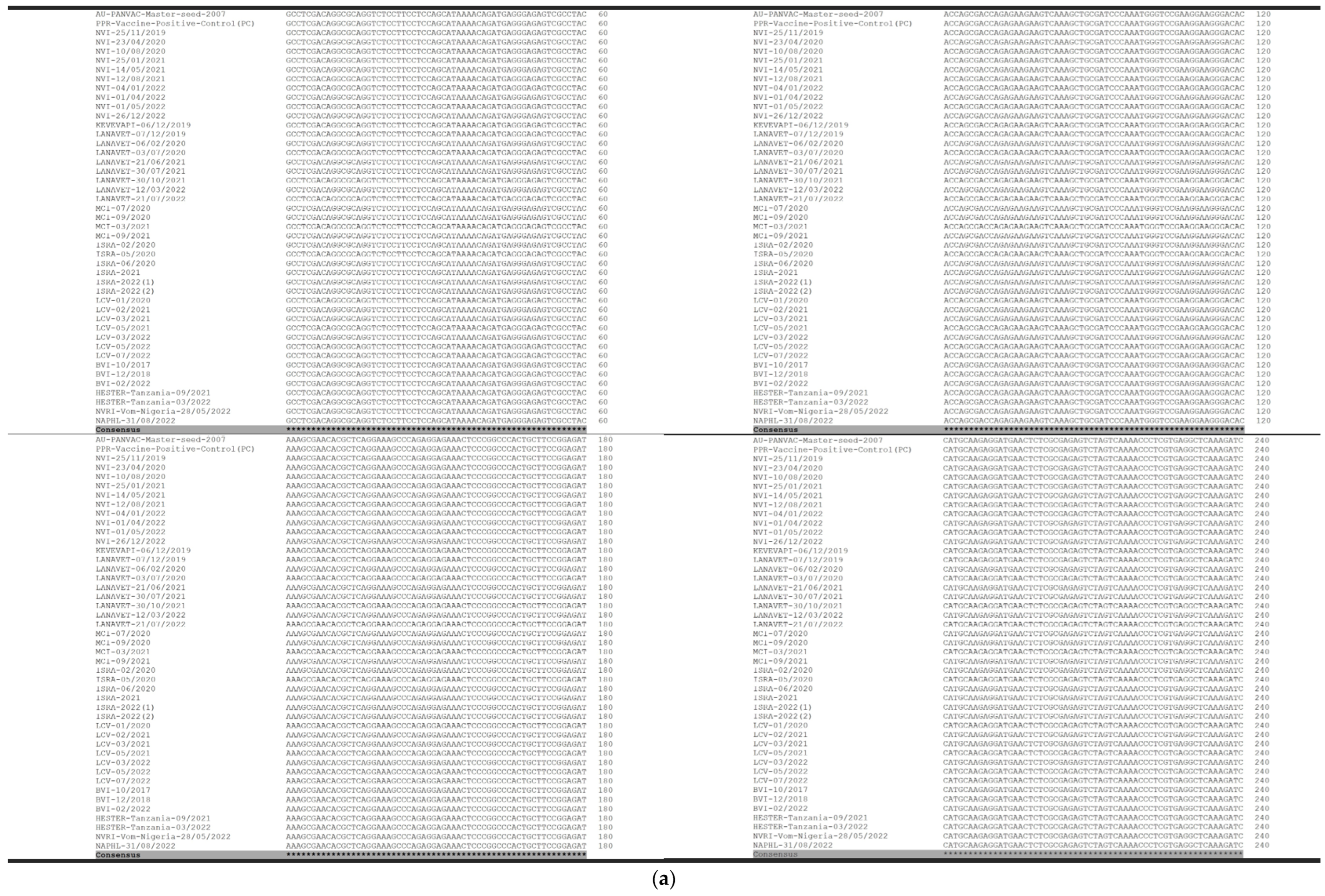 Vetsci 11 00500 g002a