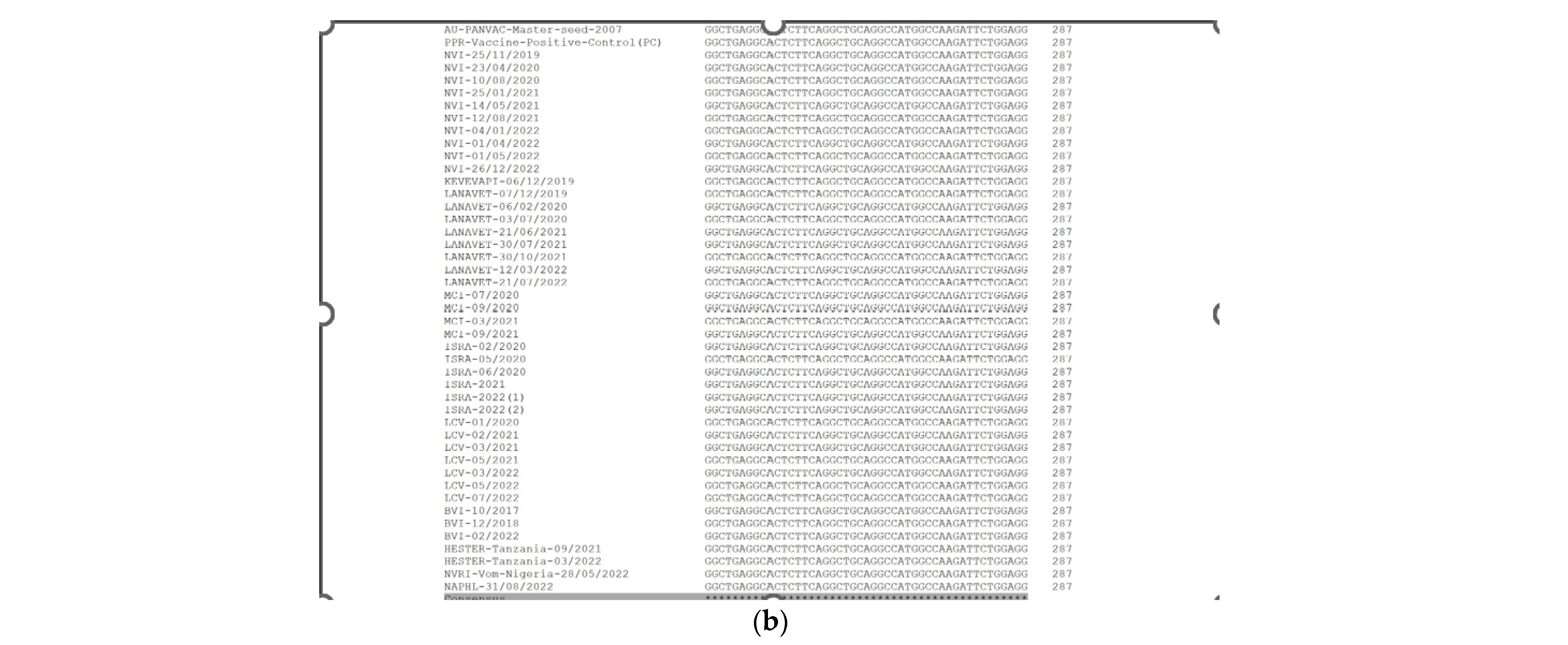 Vetsci 11 00500 g002b
