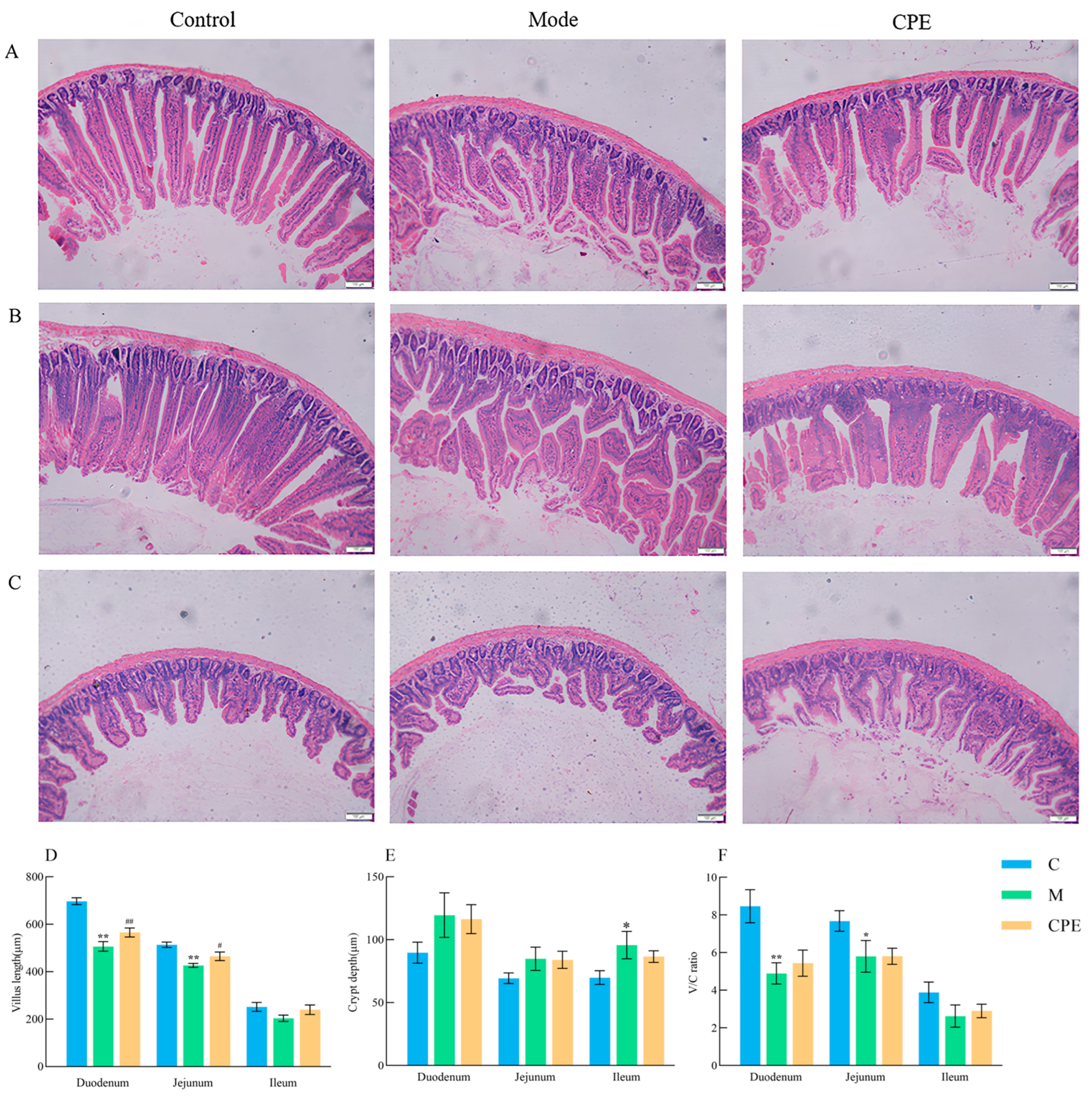 Vetsci 11 00505 g003