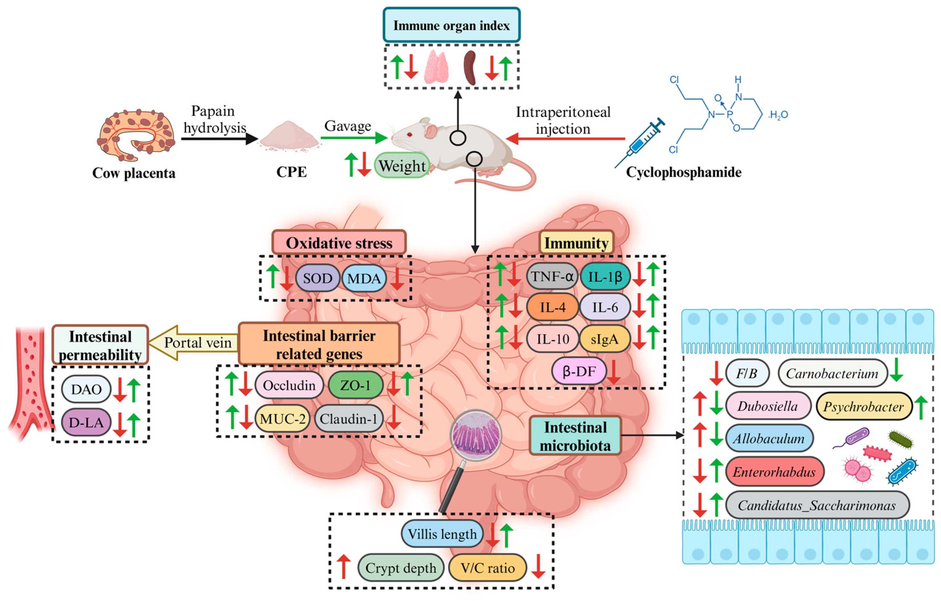 Vetsci 11 00505 g009