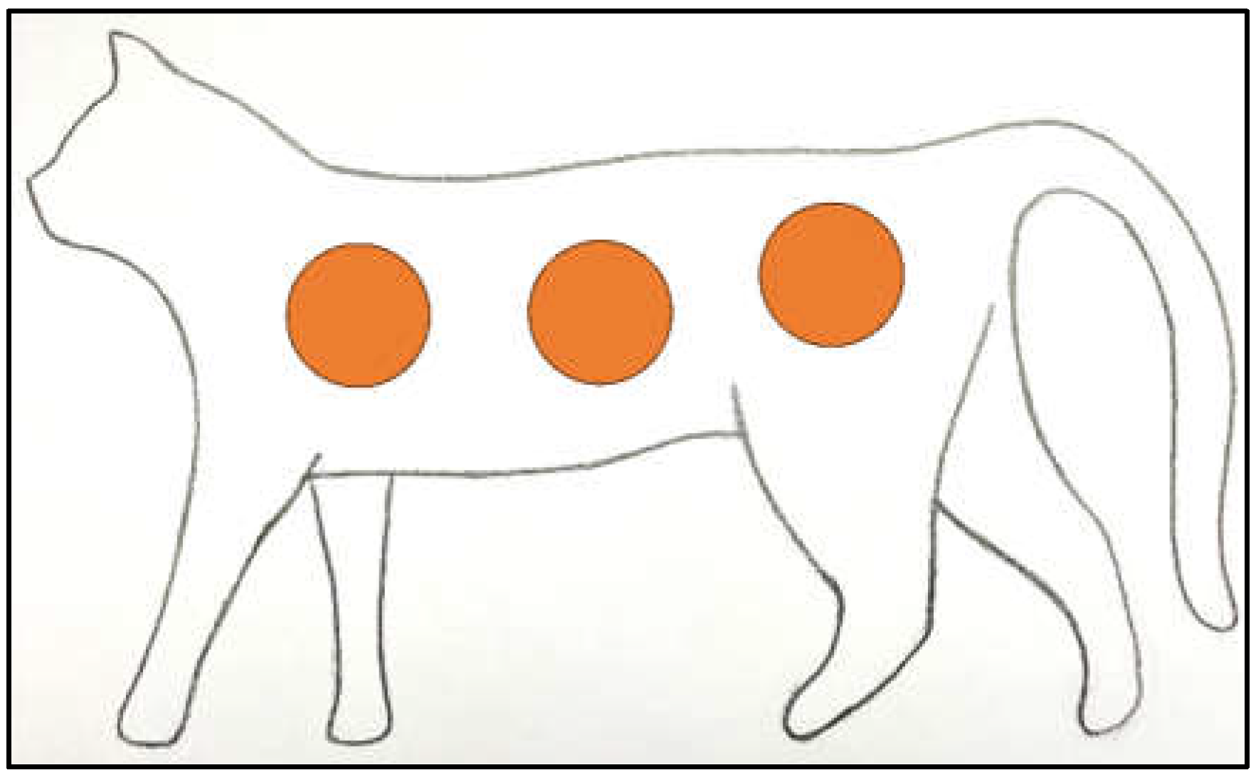 Vetsci 11 00507 g001