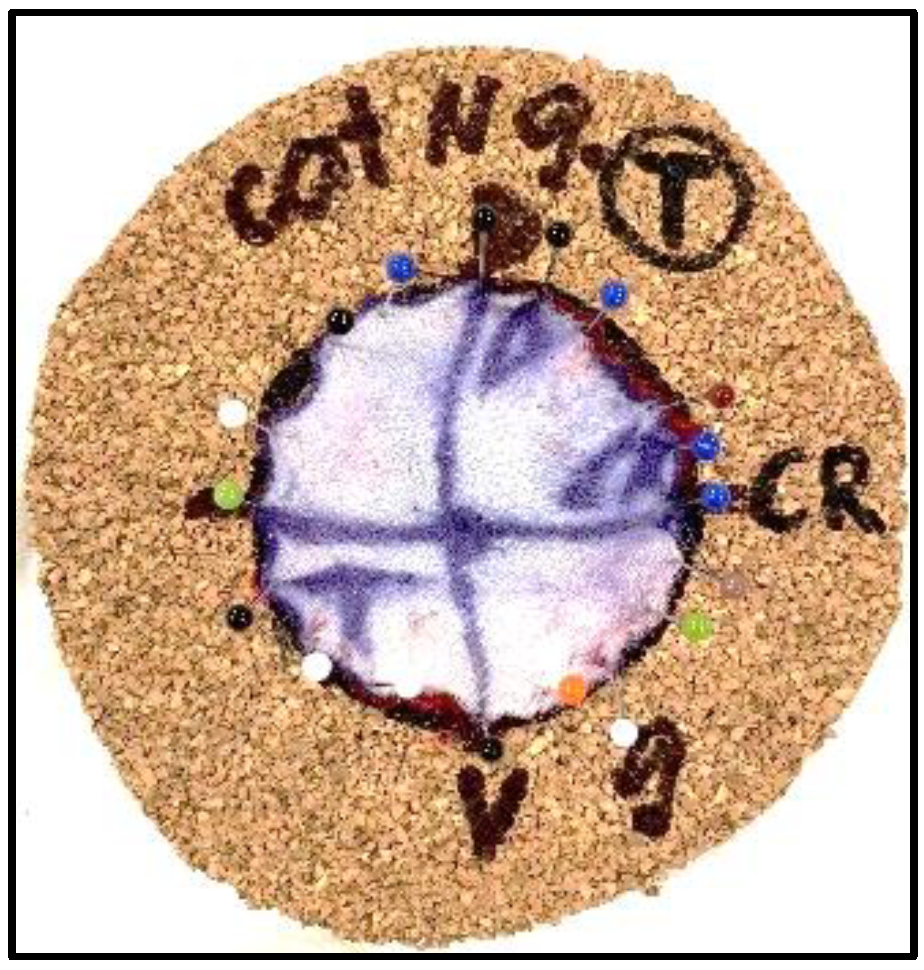 Vetsci 11 00507 g002