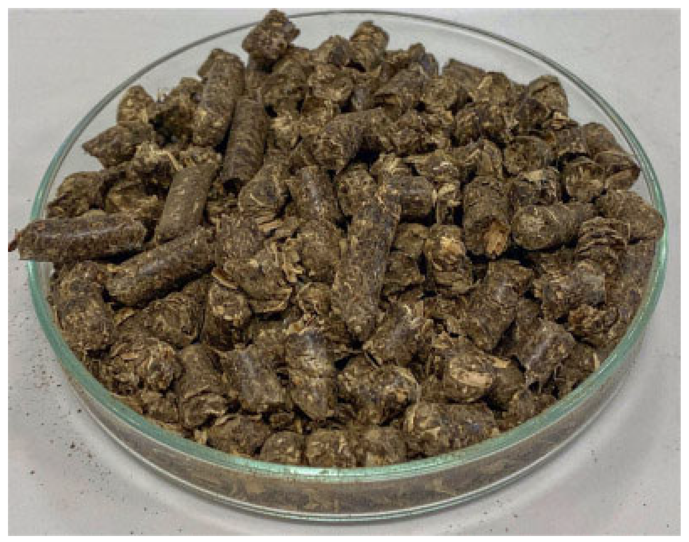 Vetsci 11 00509 g001