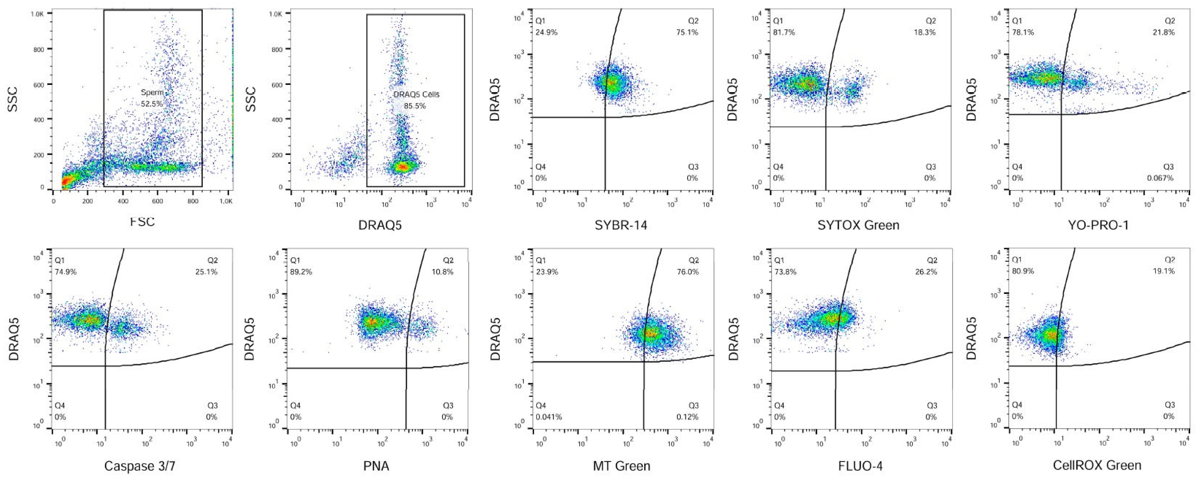 Vetsci 11 00509 g002