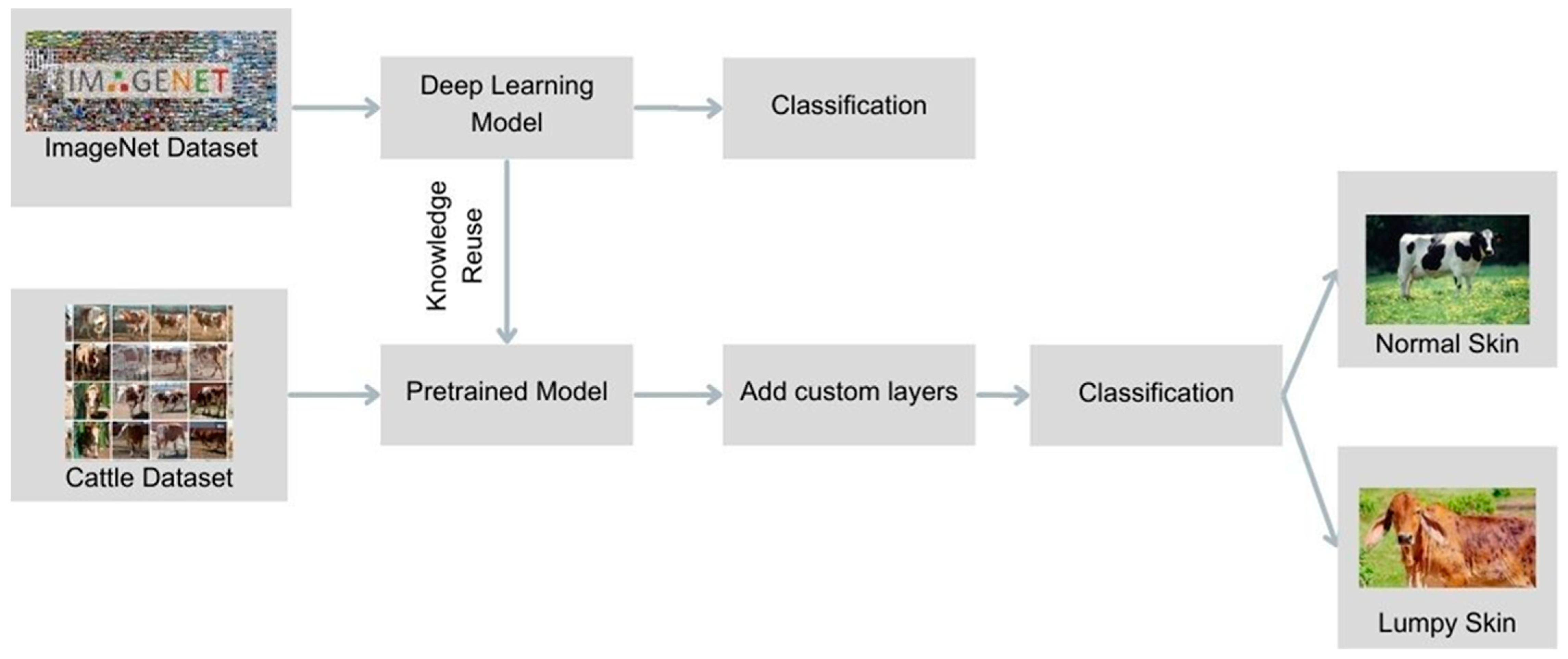 Vetsci 11 00510 g002
