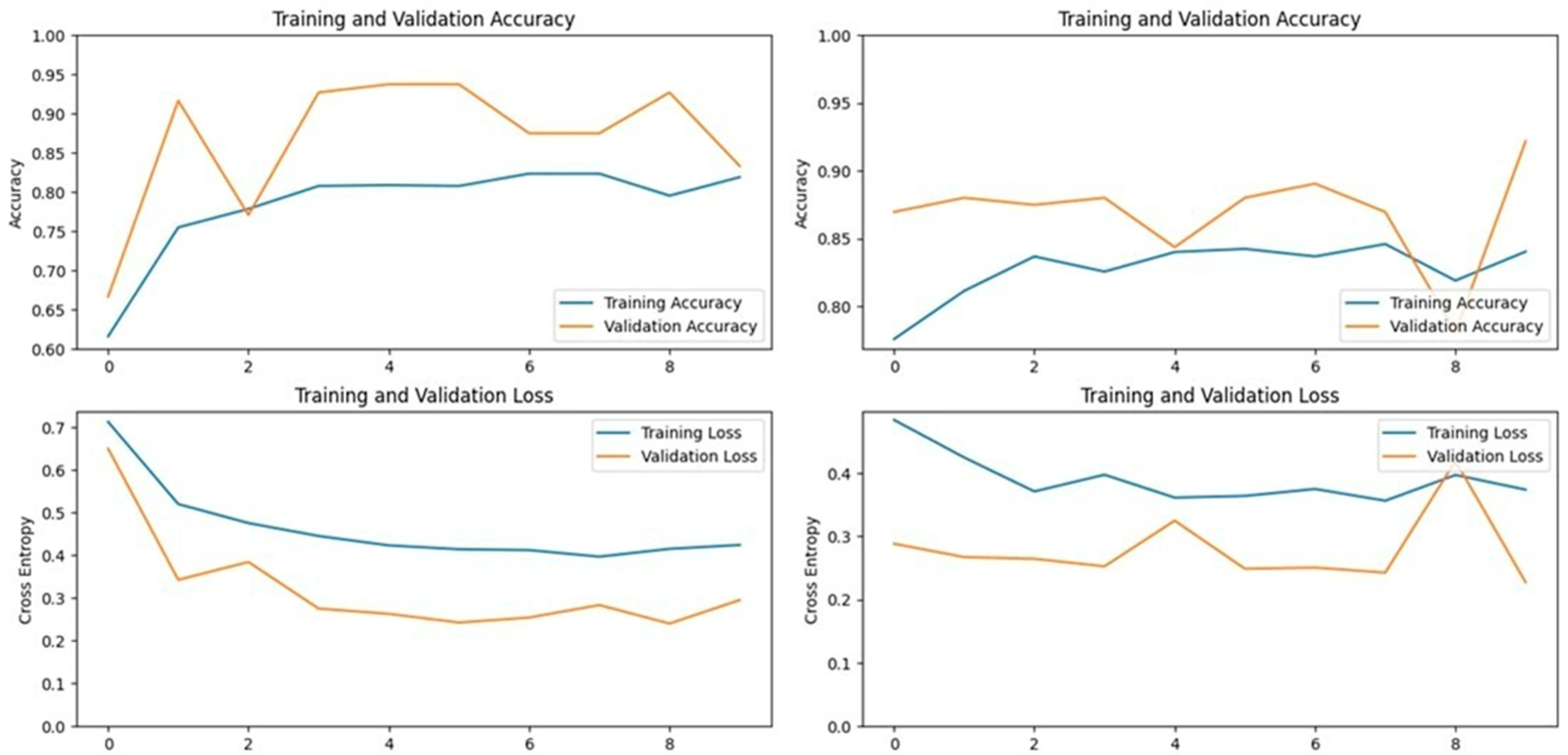 Vetsci 11 00510 g006