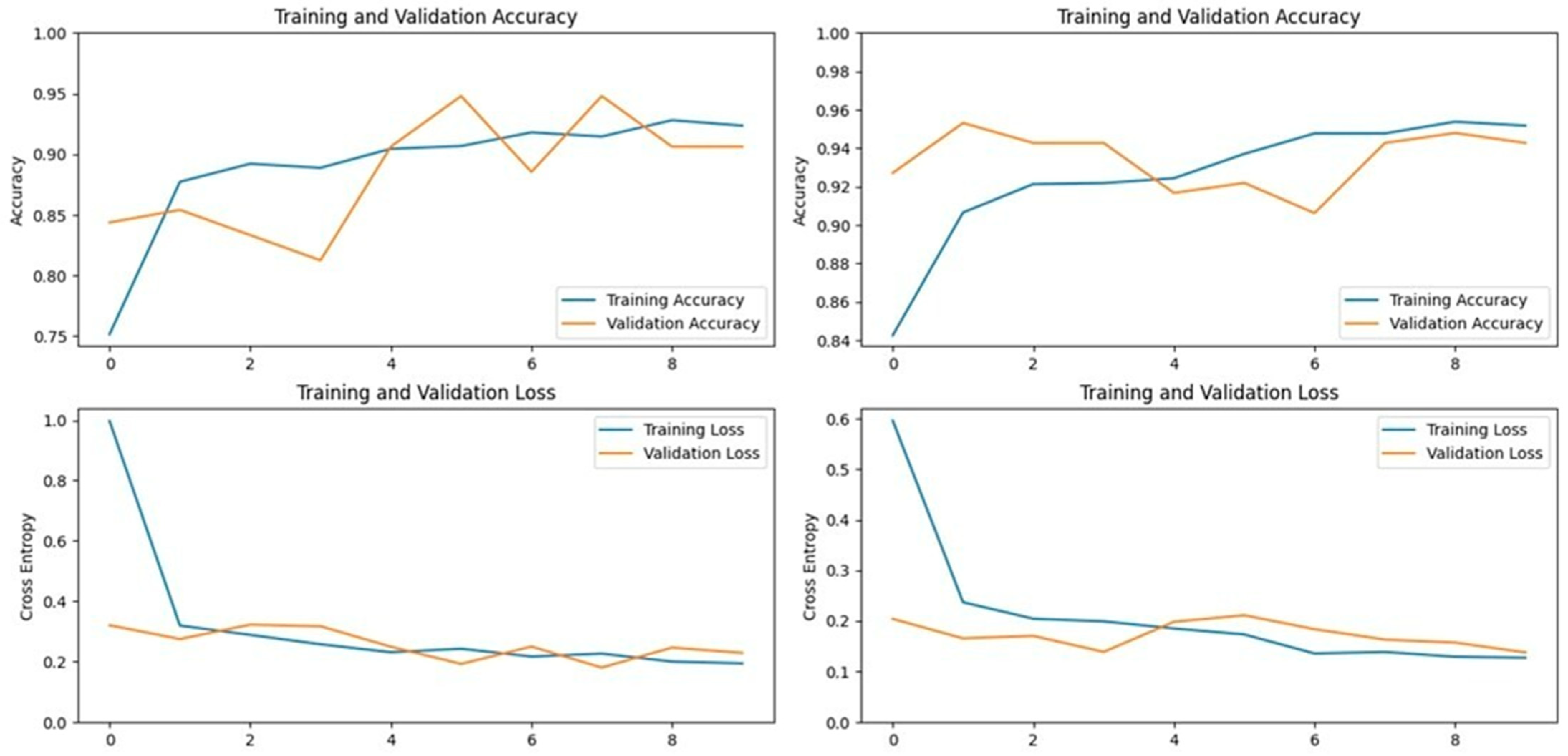 Vetsci 11 00510 g007