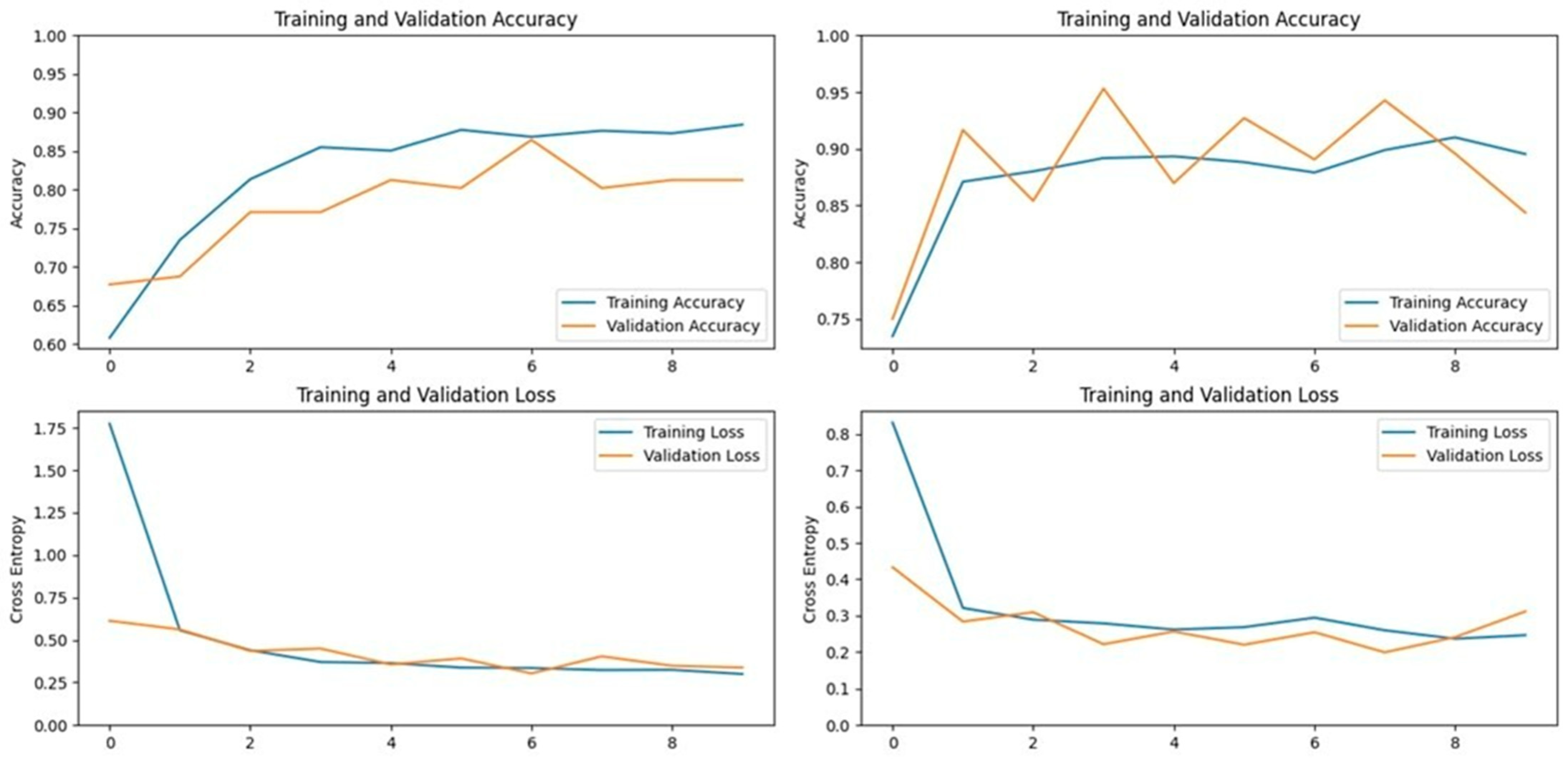 Vetsci 11 00510 g008
