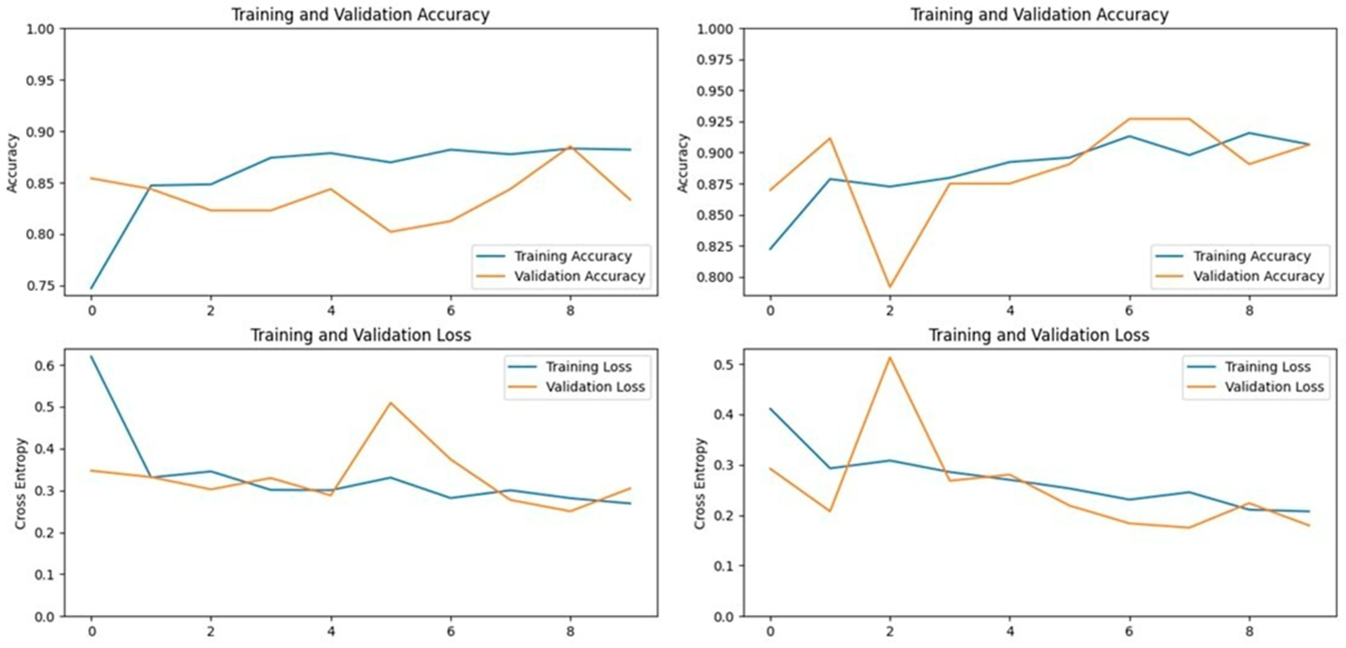 Vetsci 11 00510 g012