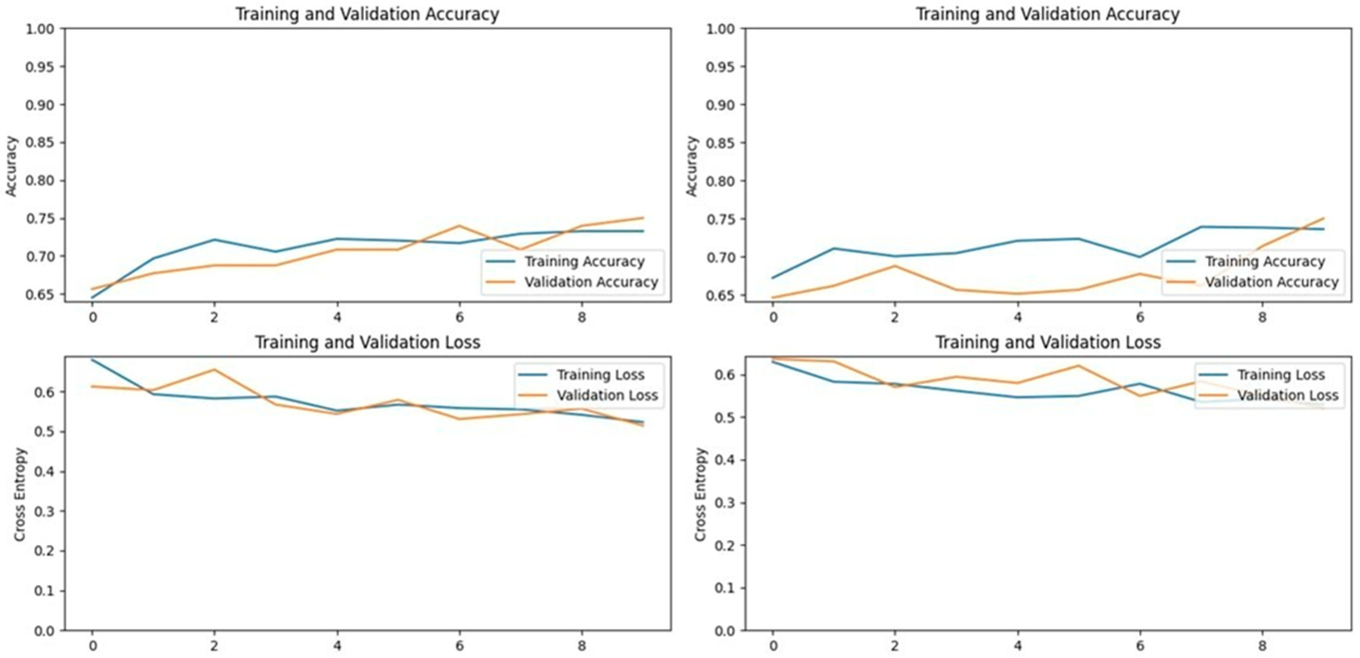 Vetsci 11 00510 g014