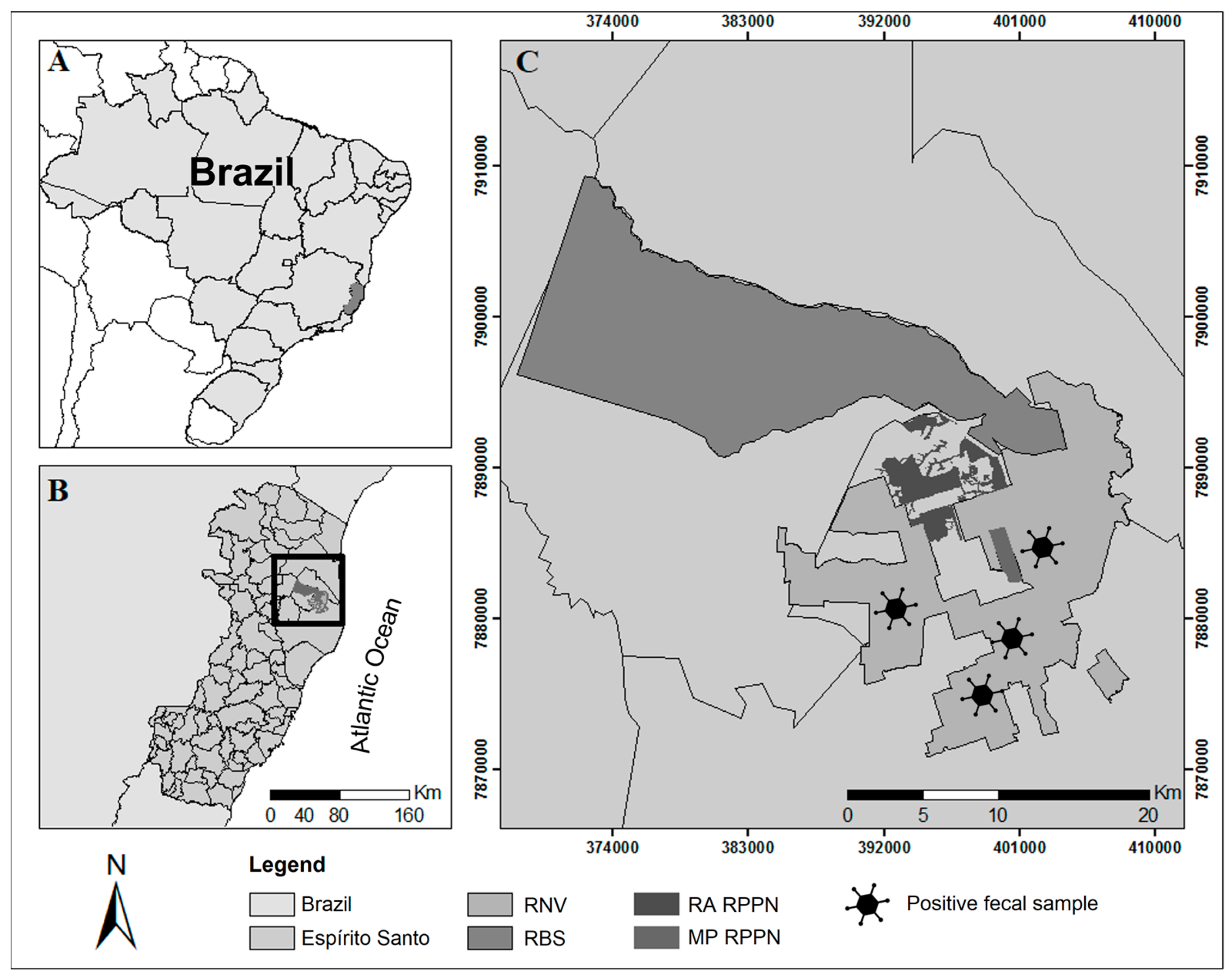 Vetsci 11 00511 g001