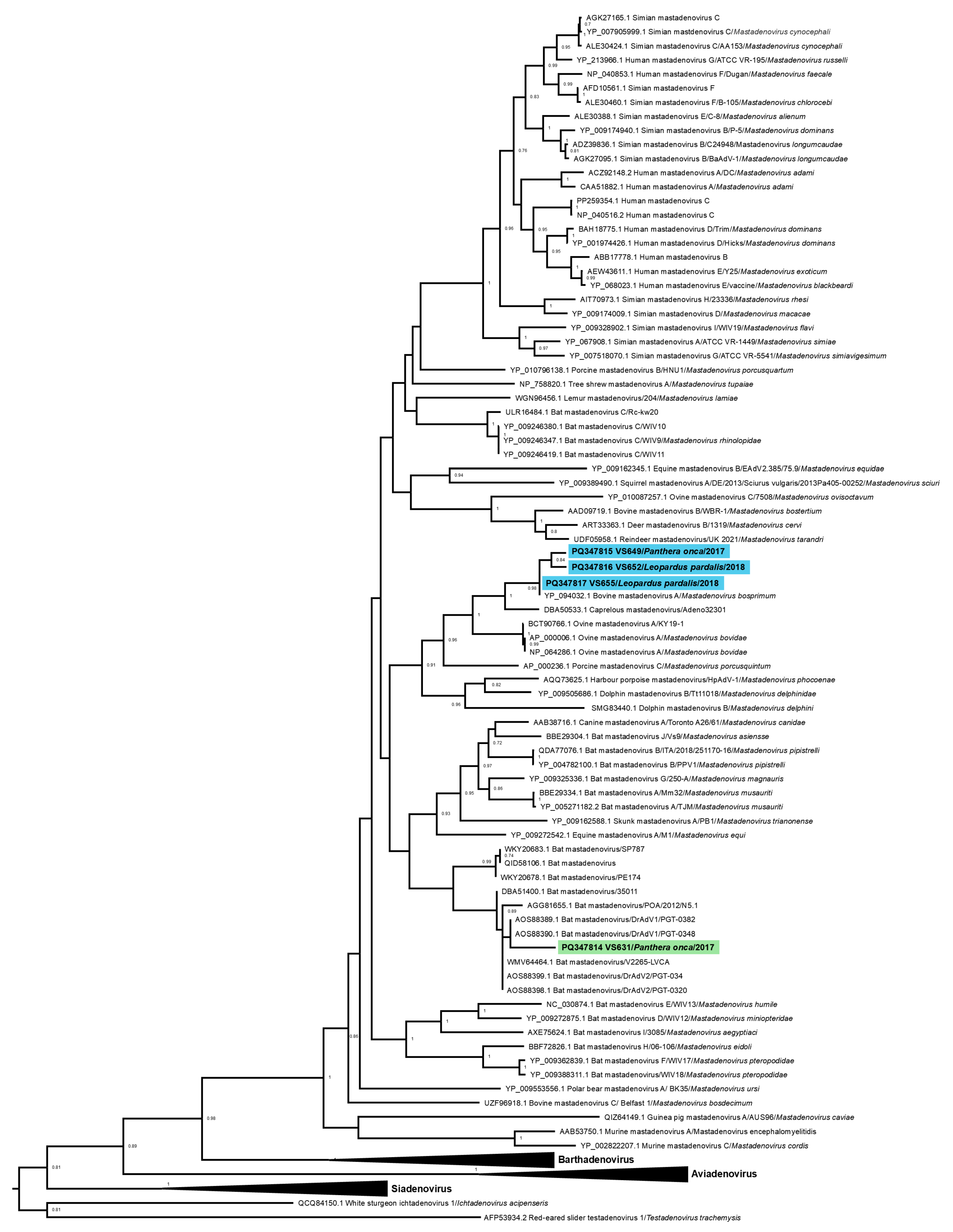Vetsci 11 00511 g002