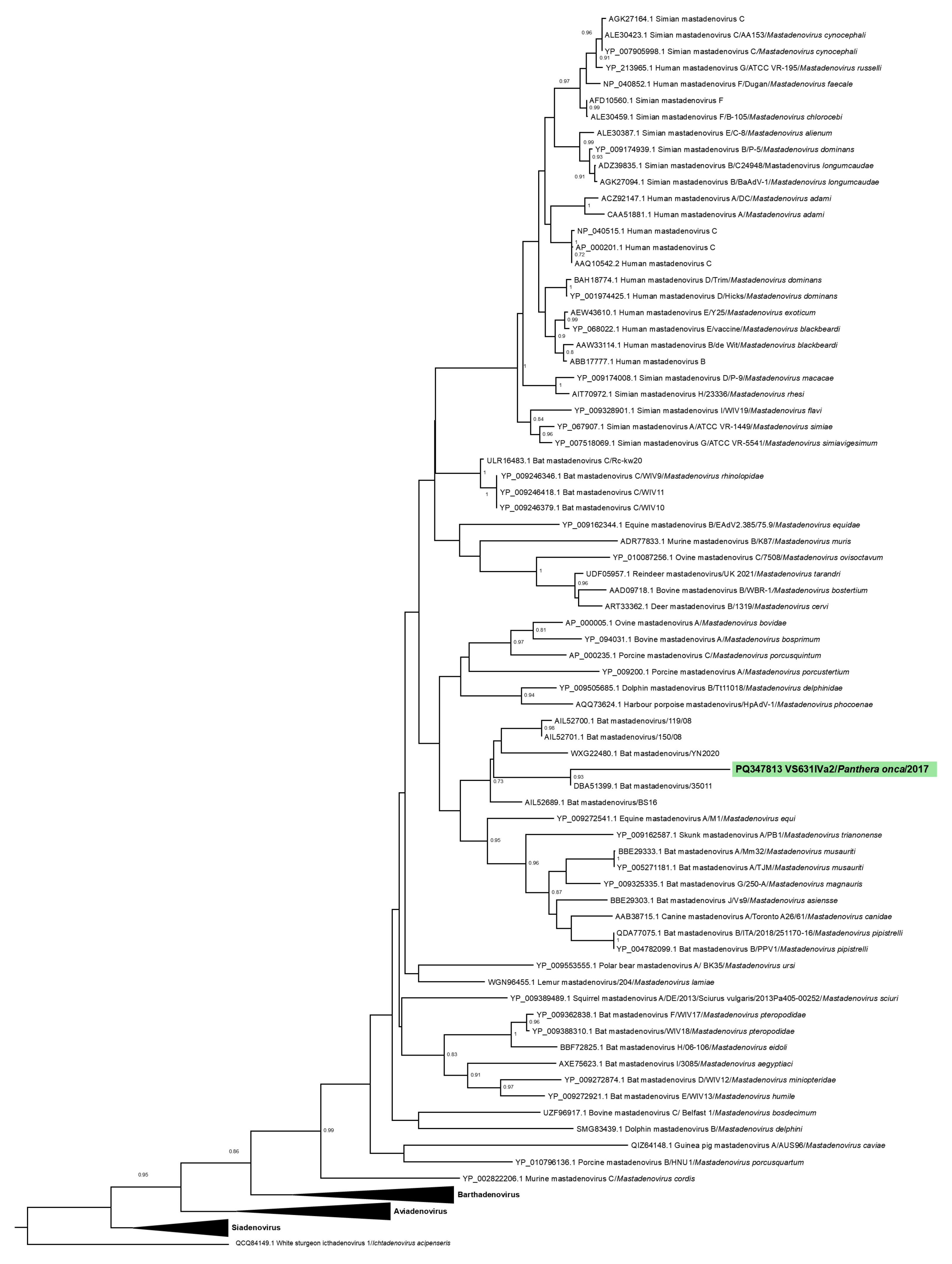 Vetsci 11 00511 g003