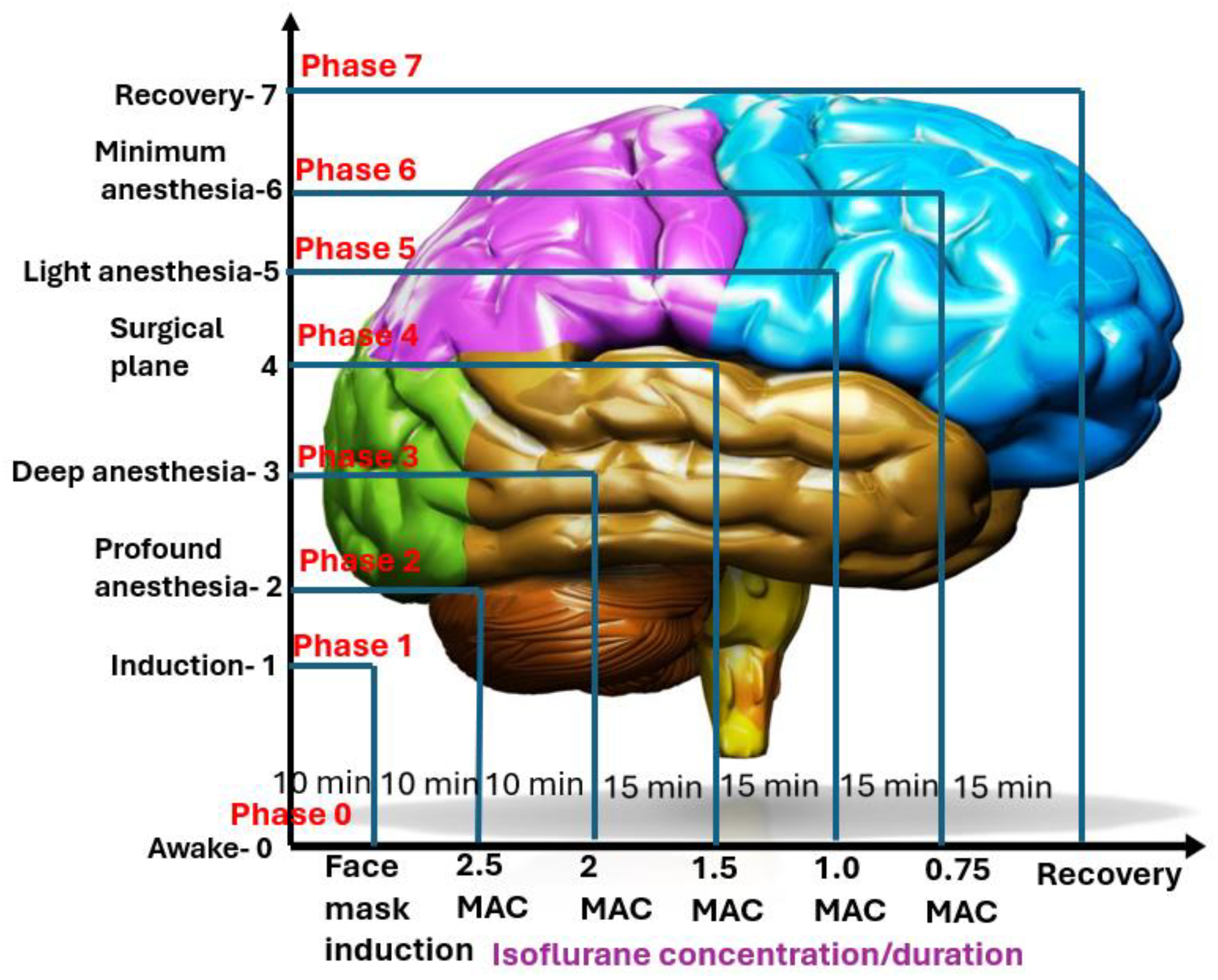 Vetsci 11 00514 g001