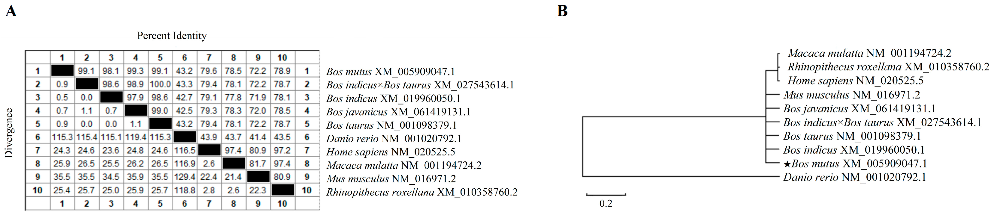Vetsci 11 00515 g001