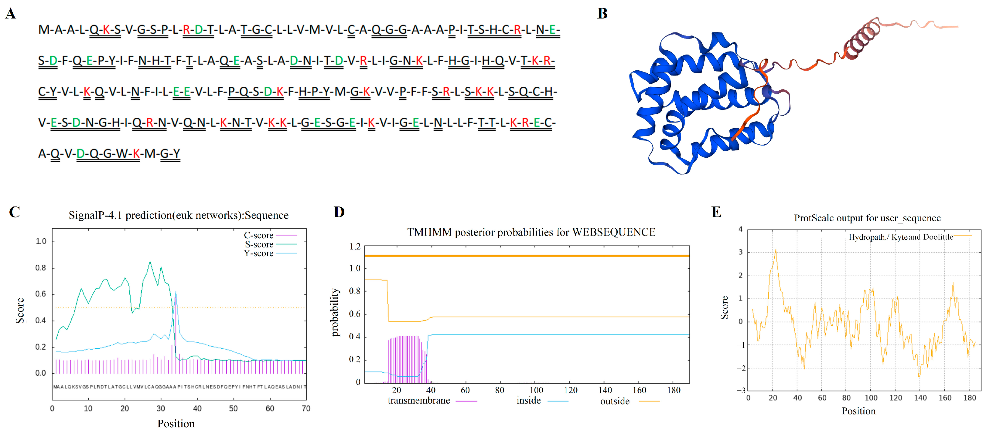 Vetsci 11 00515 g002