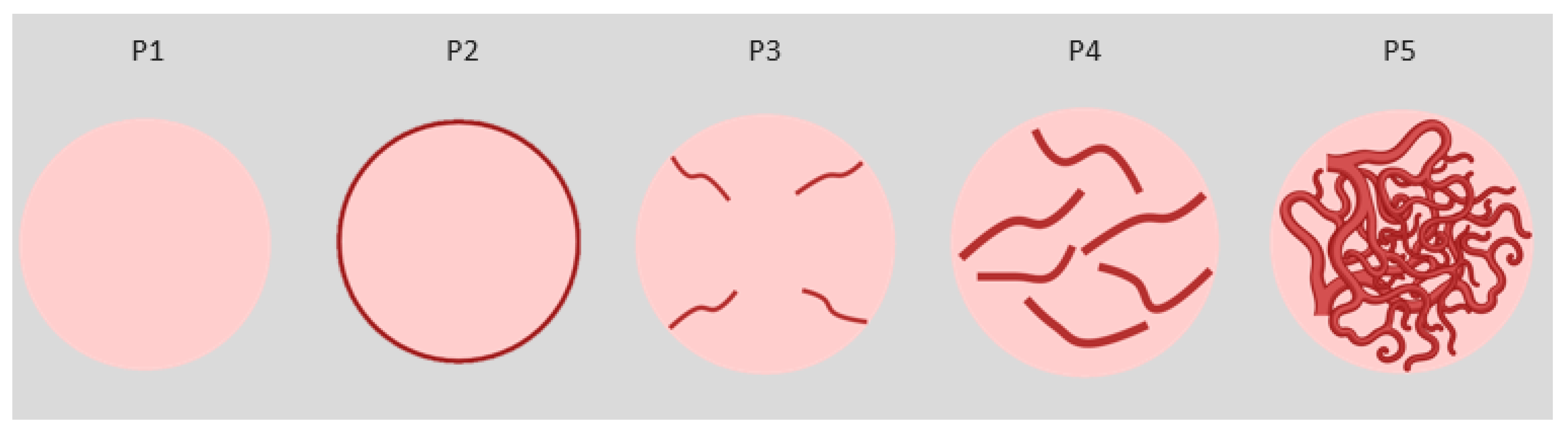 Vetsci 11 00516 g001