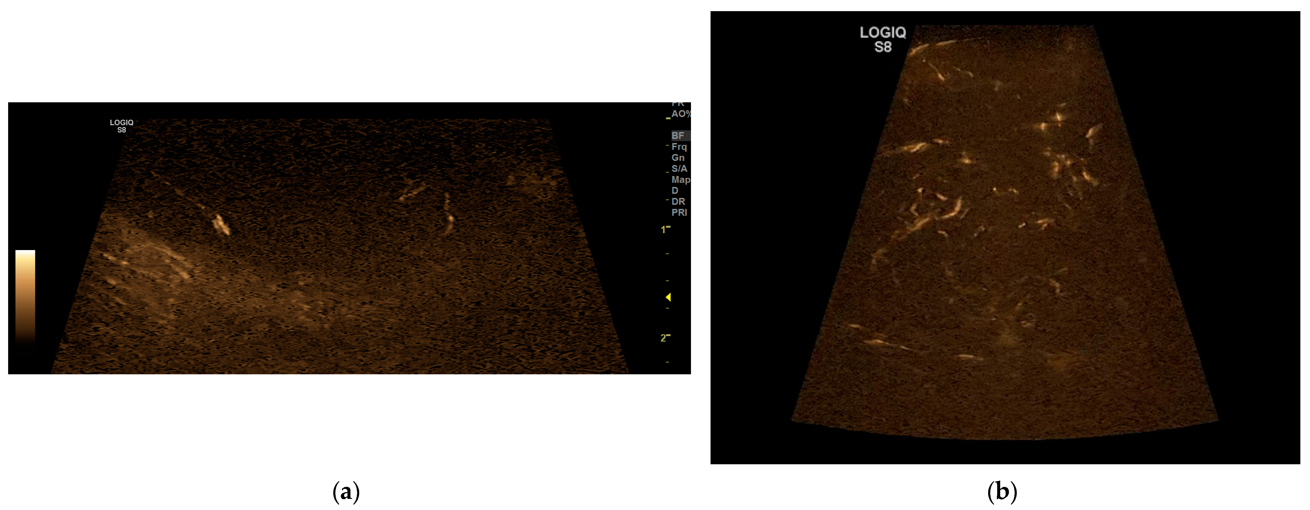 Vetsci 11 00516 g002