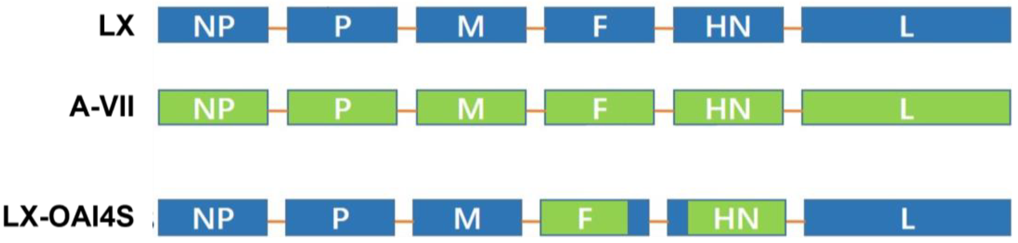 Vetsci 11 00532 g001