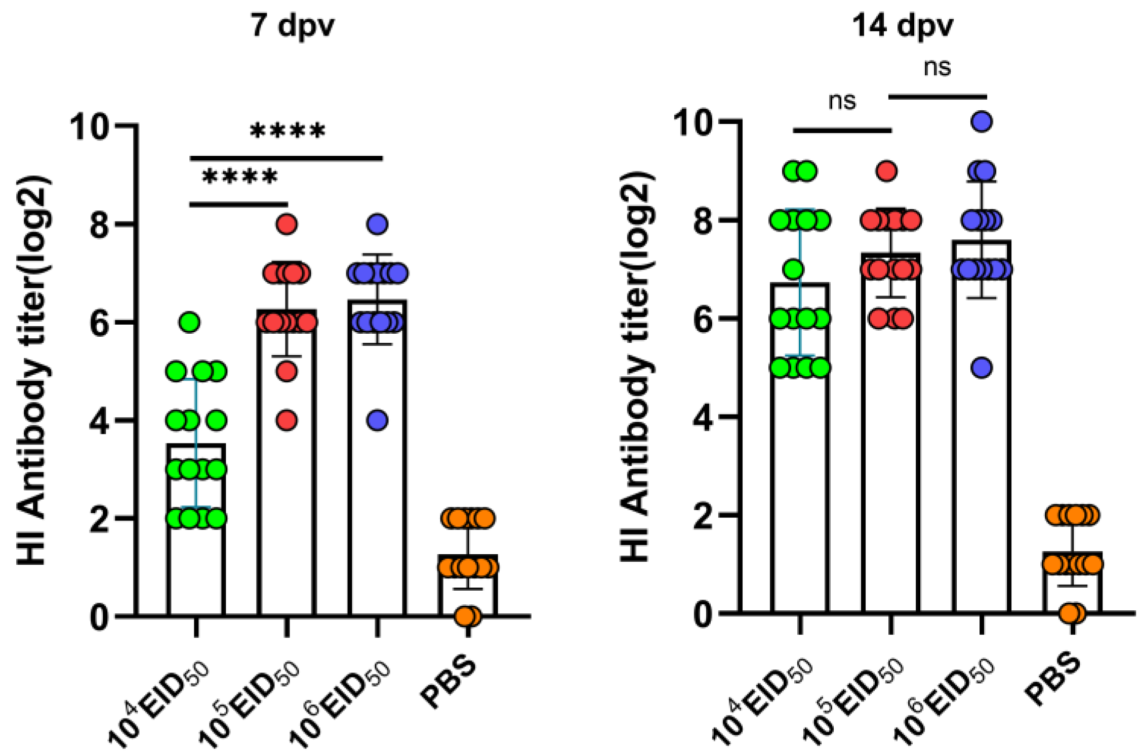 Vetsci 11 00532 g004