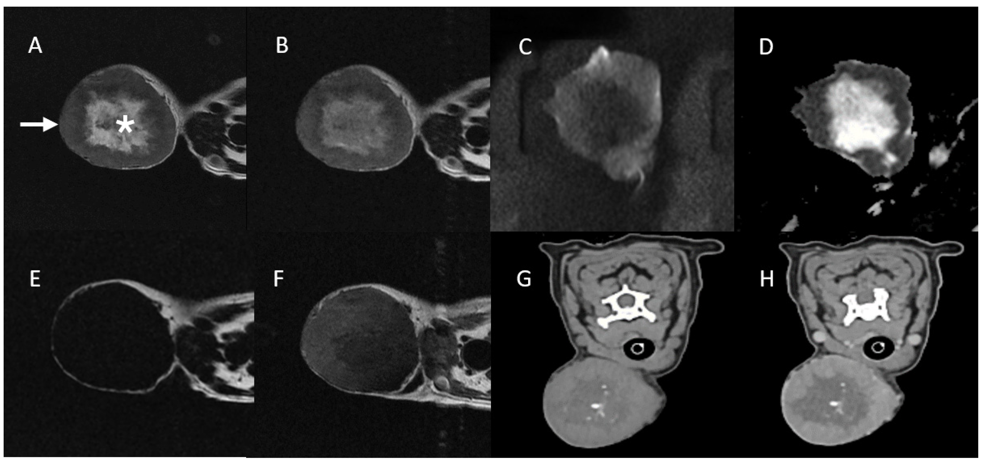 Vetsci 11 00539 g002
