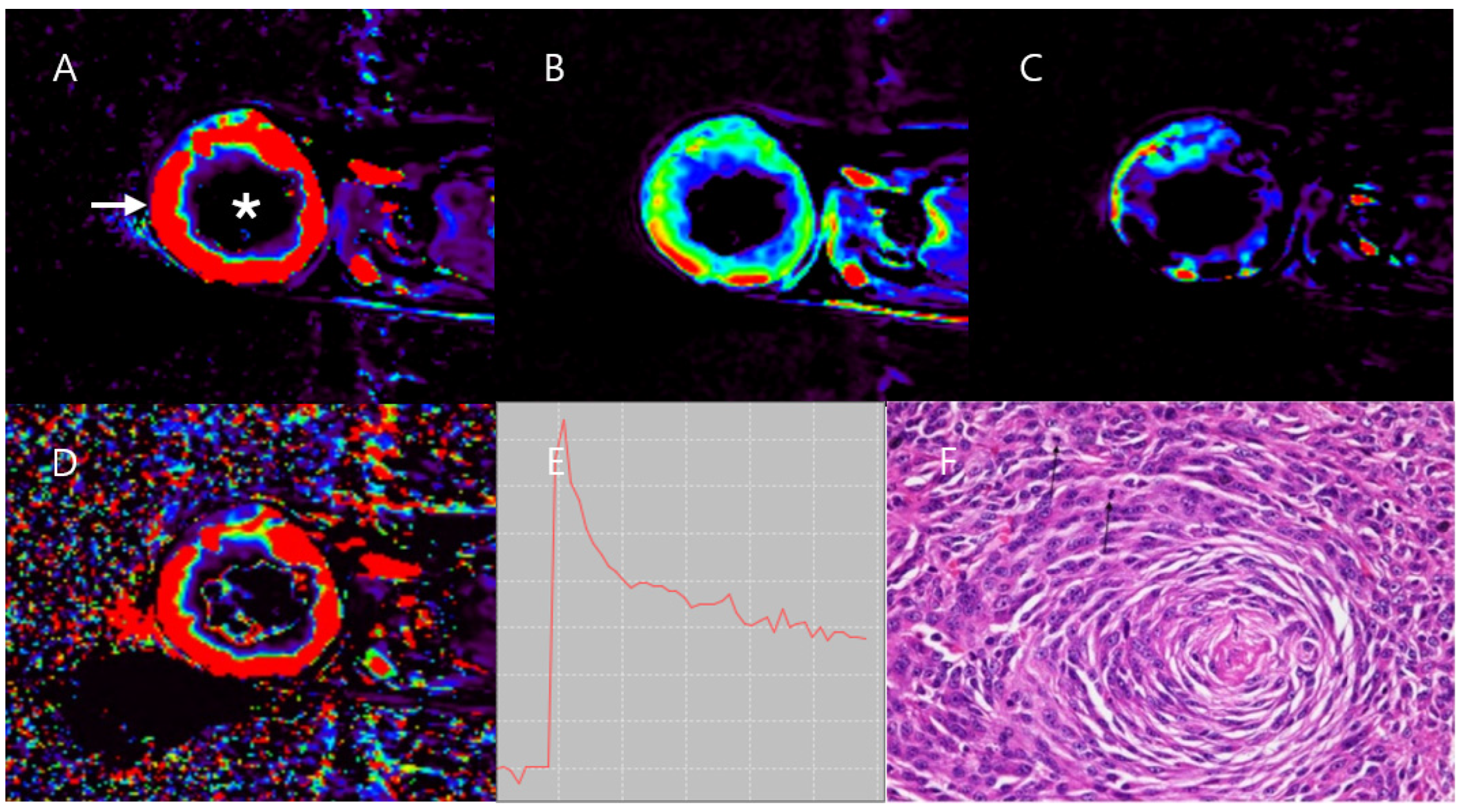 Vetsci 11 00539 g003