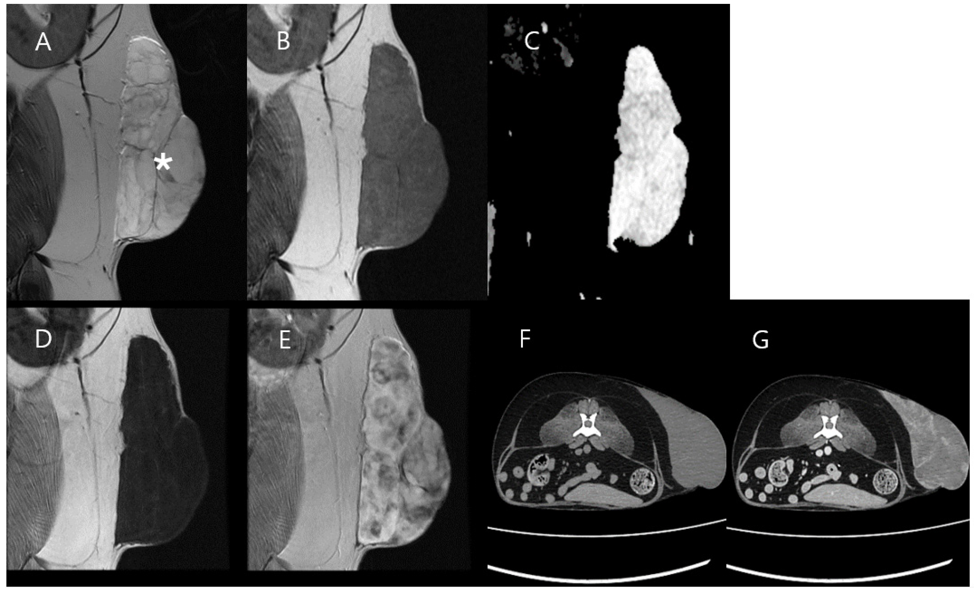 Vetsci 11 00539 g004