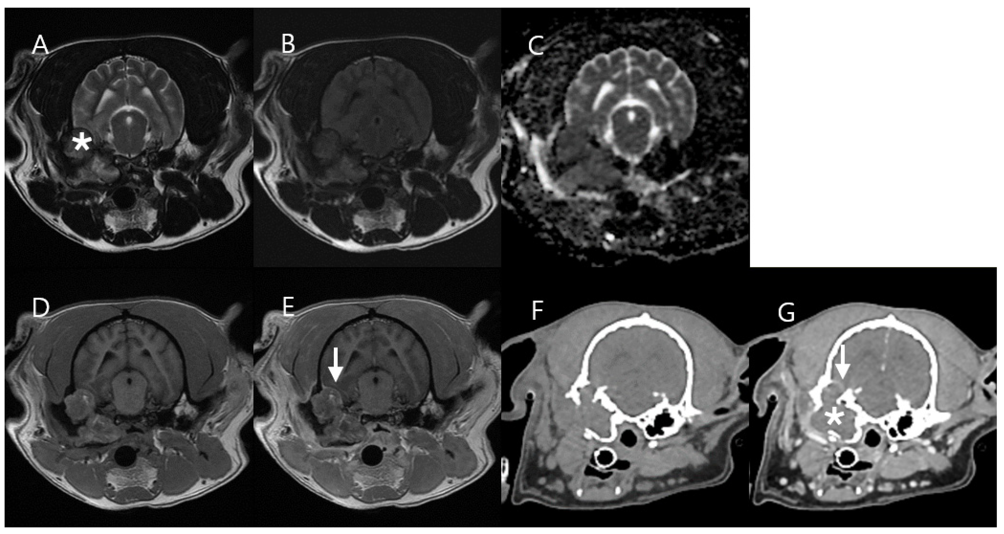 Vetsci 11 00539 g006