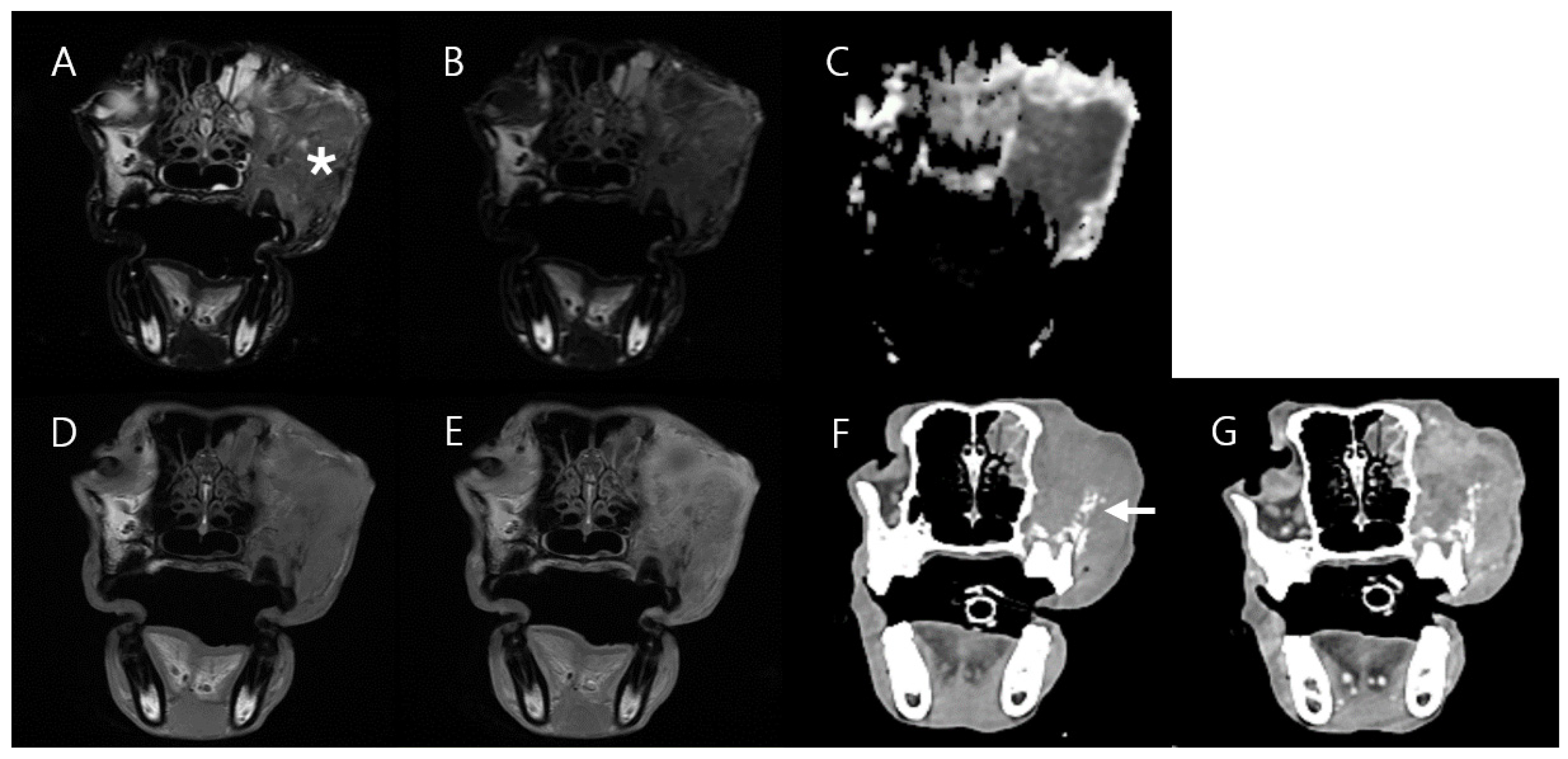 Vetsci 11 00539 g008
