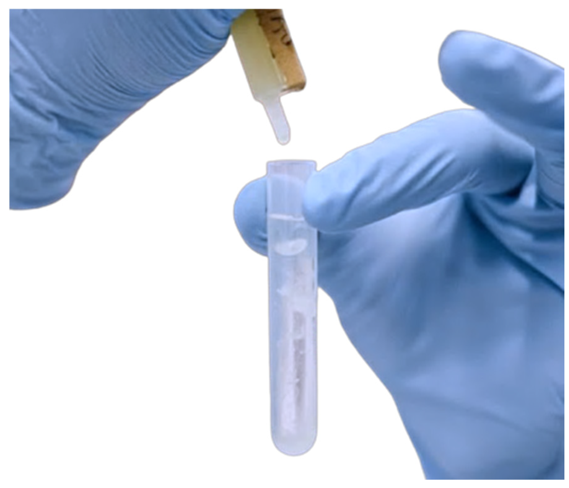 Vetsci 11 00563 g001