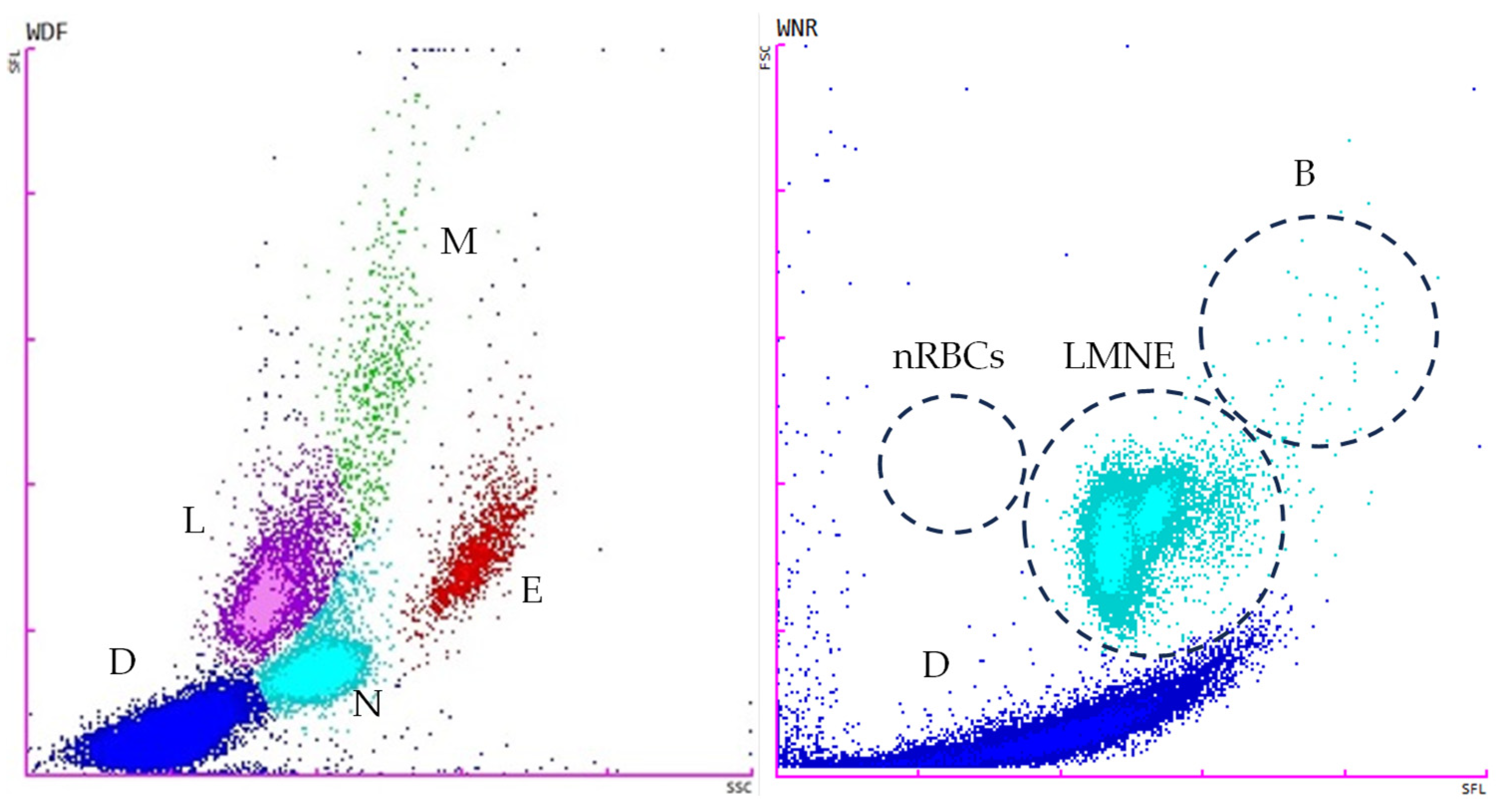 Vetsci 11 00563 g002