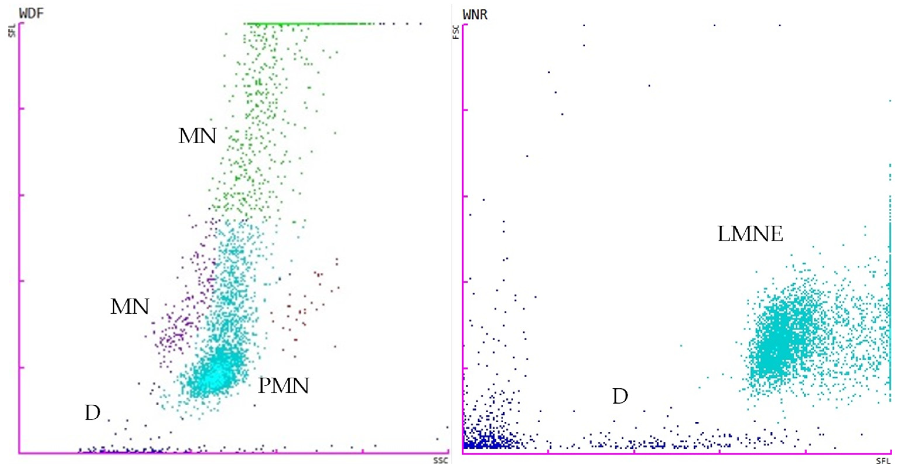 Vetsci 11 00563 g005