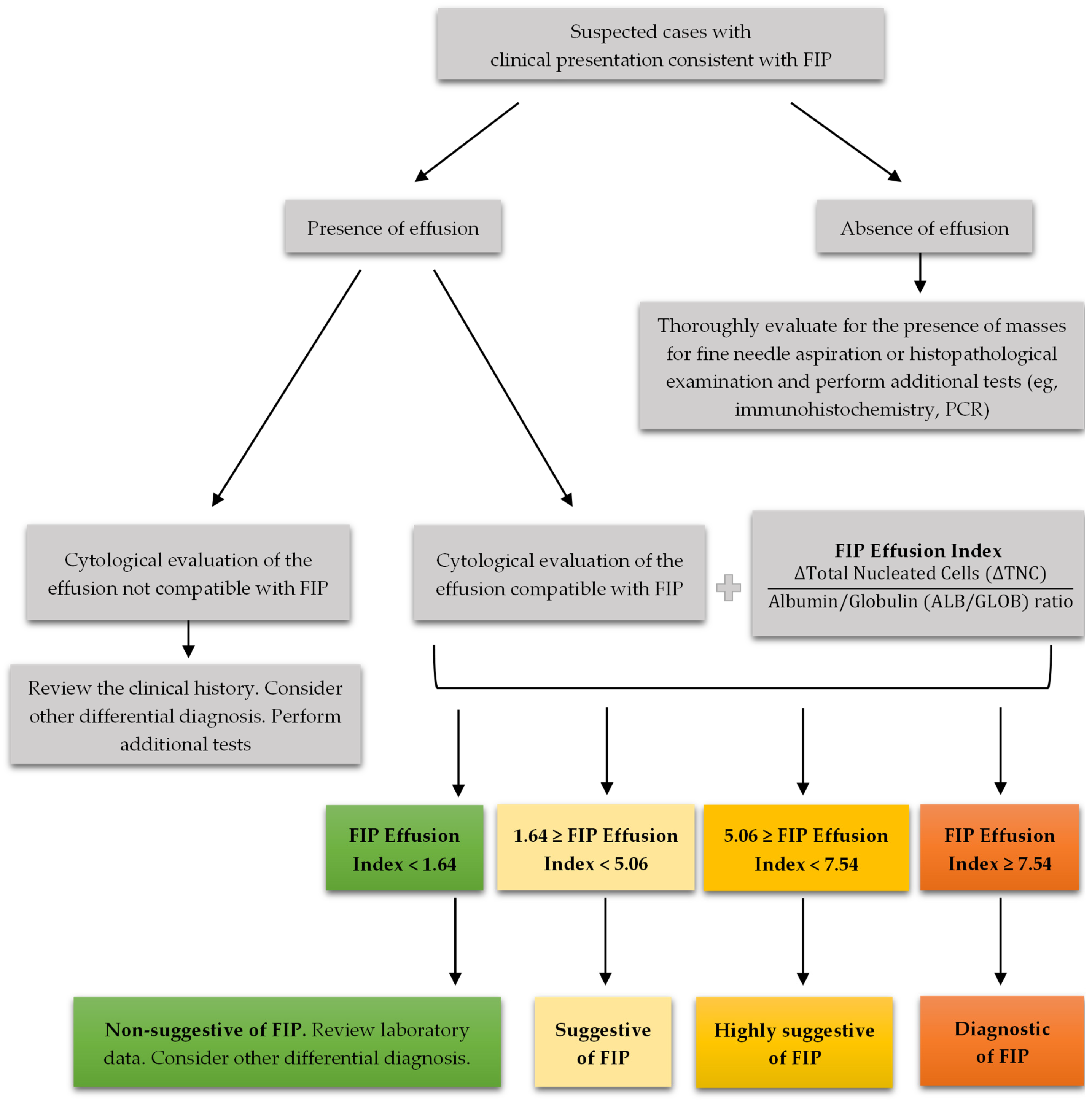 Vetsci 11 00563 g011