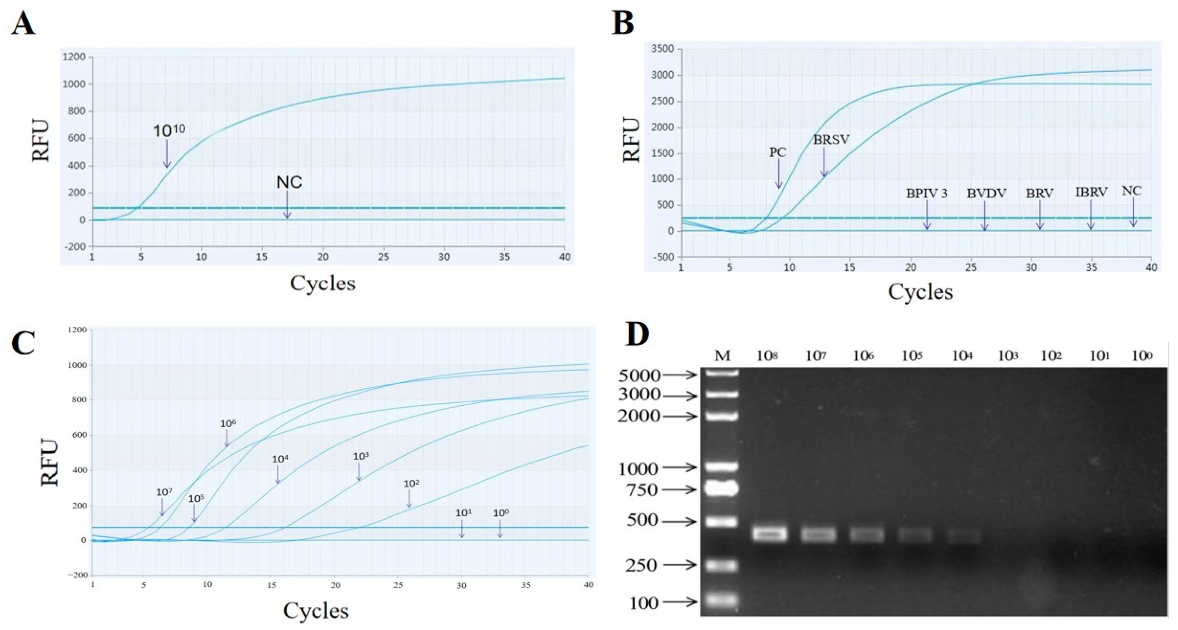 Vetsci 11 00589 g002