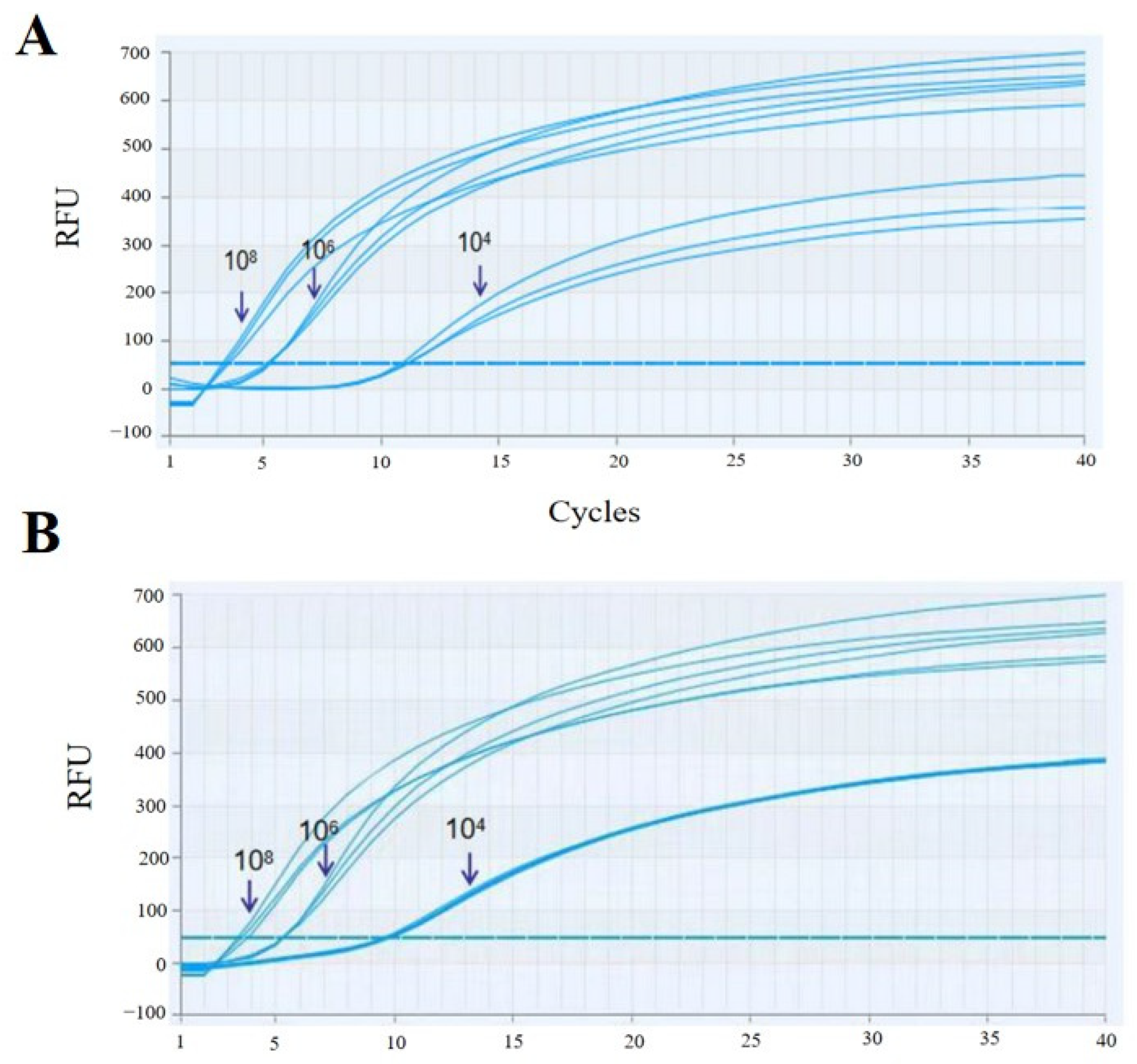 Vetsci 11 00589 g003